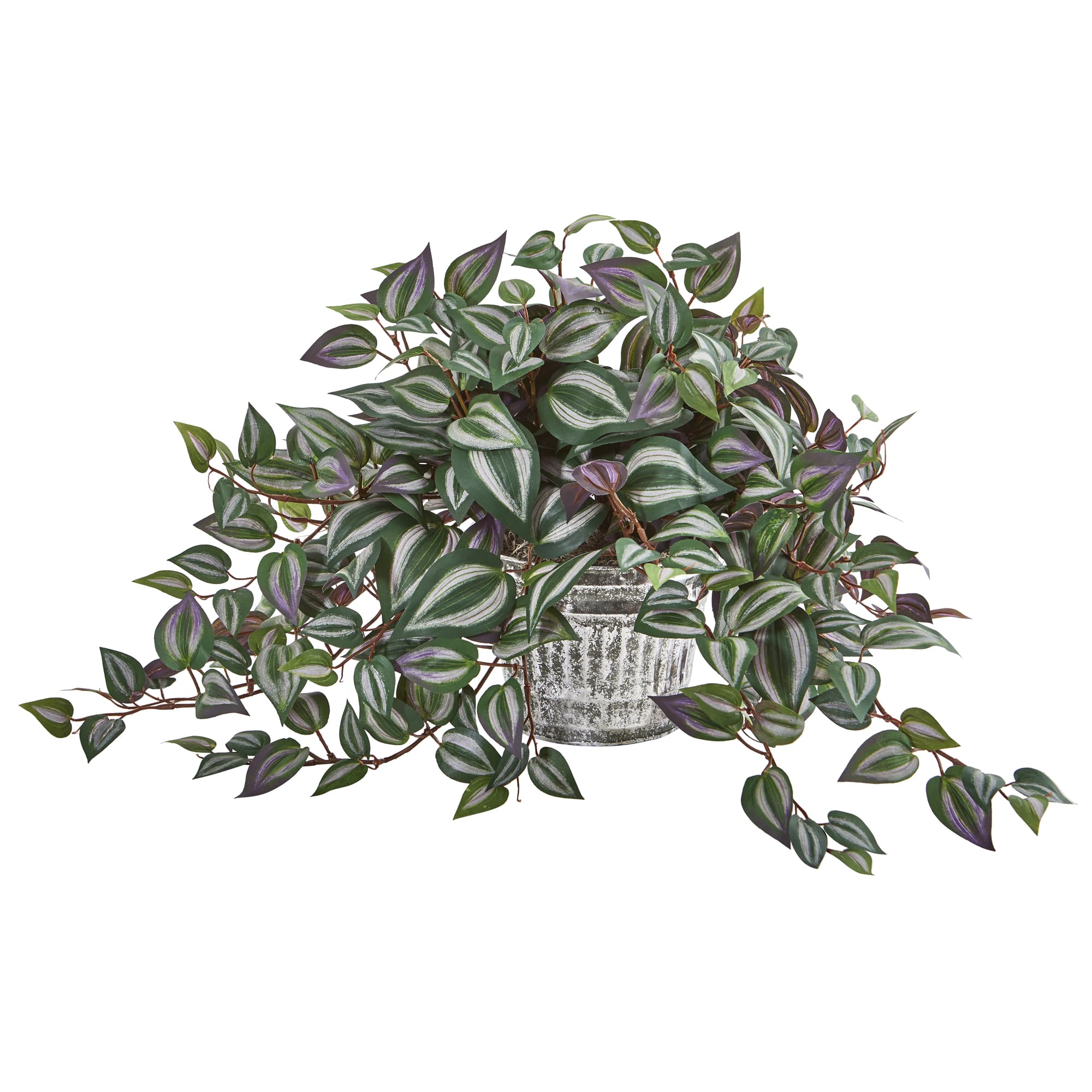 15" Inchplant in Vintage Metal Hanging Planter