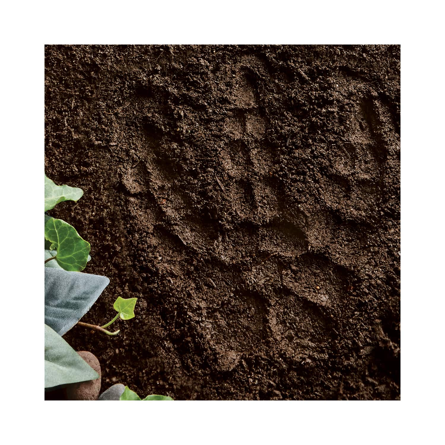 Paint Your Own Stepping Stone - Dinosaur Footprint