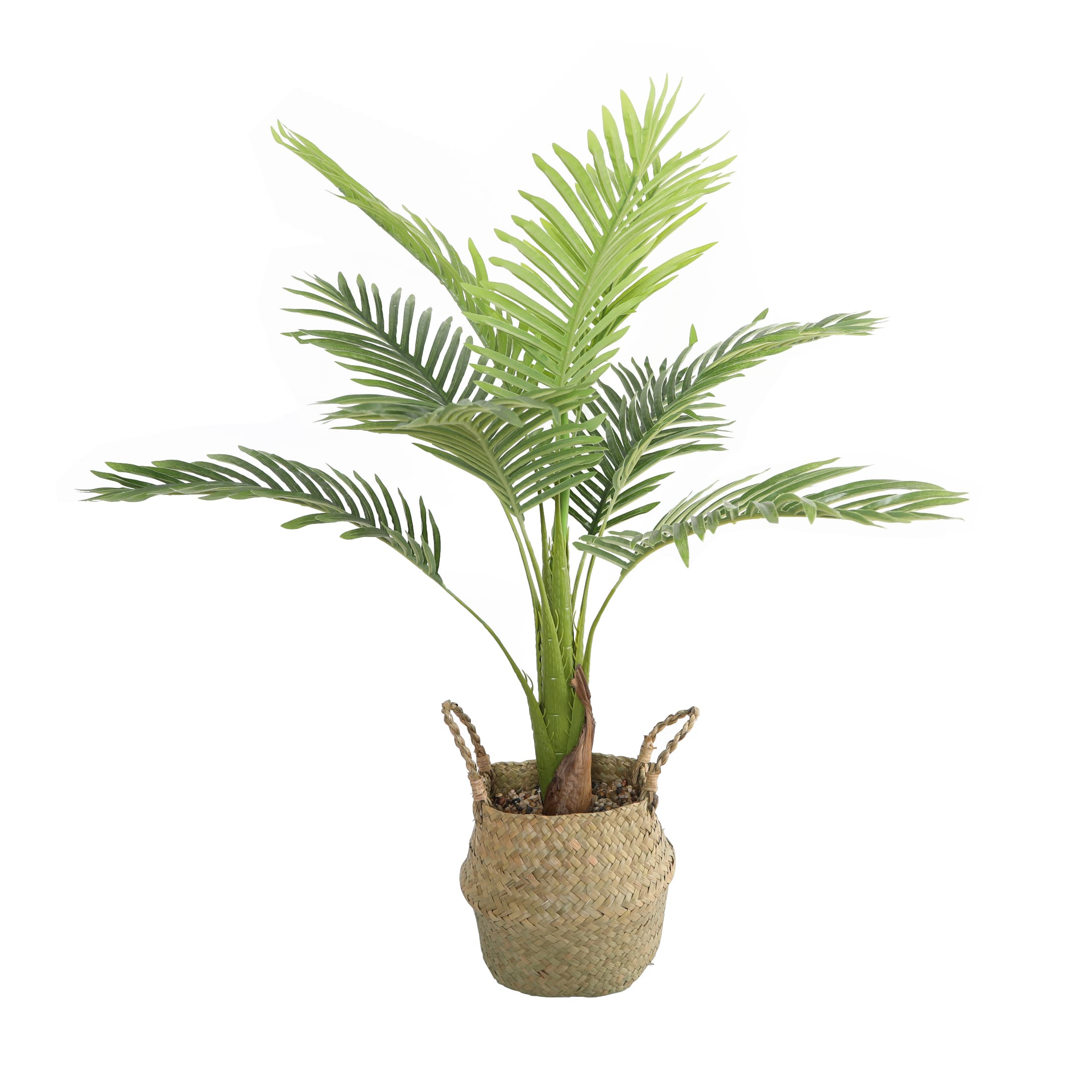 Flora Bunda® 3ft. Big Palm in Basket Planter