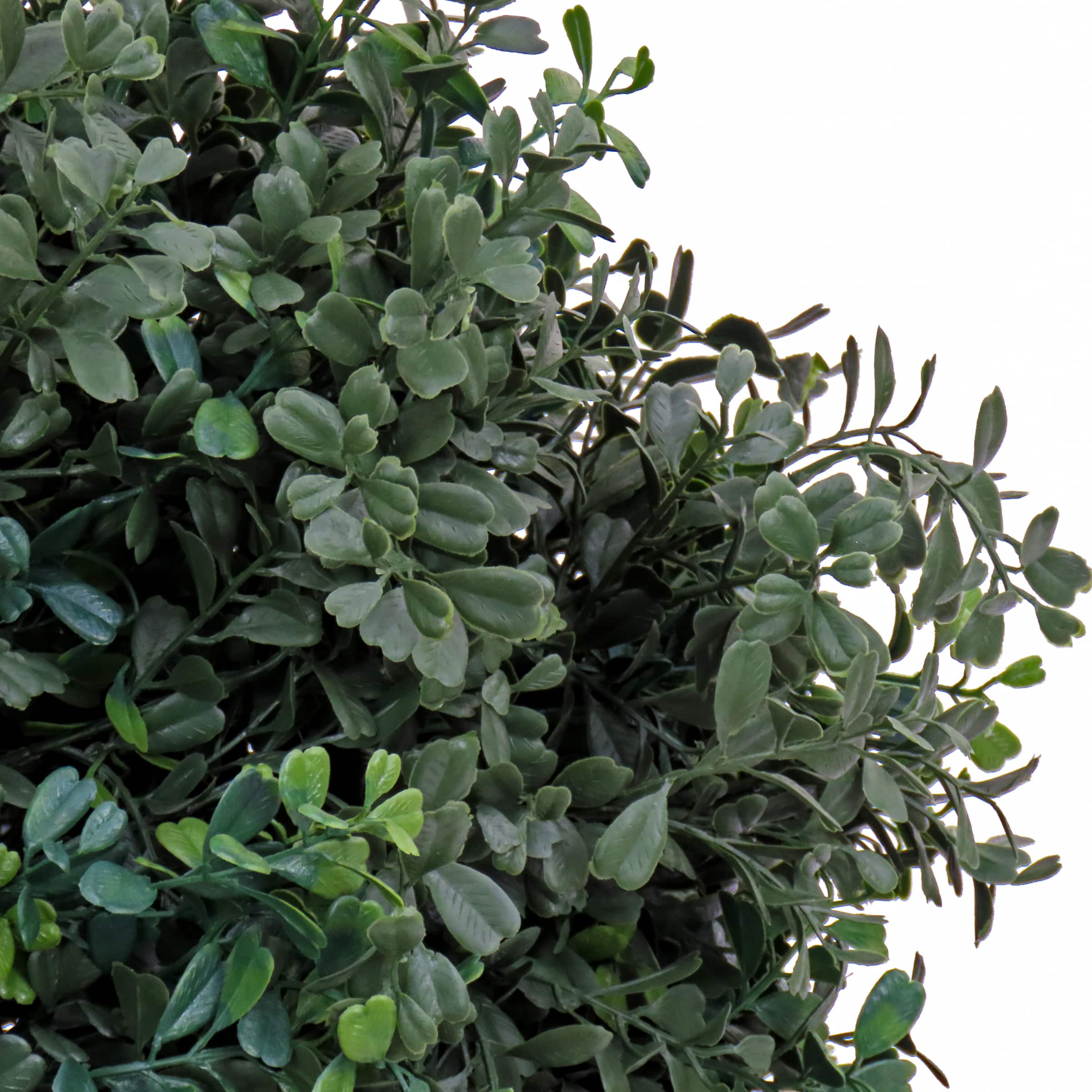 4ft. Boxwood Cone & Ball Topiary In Nursery Pot
