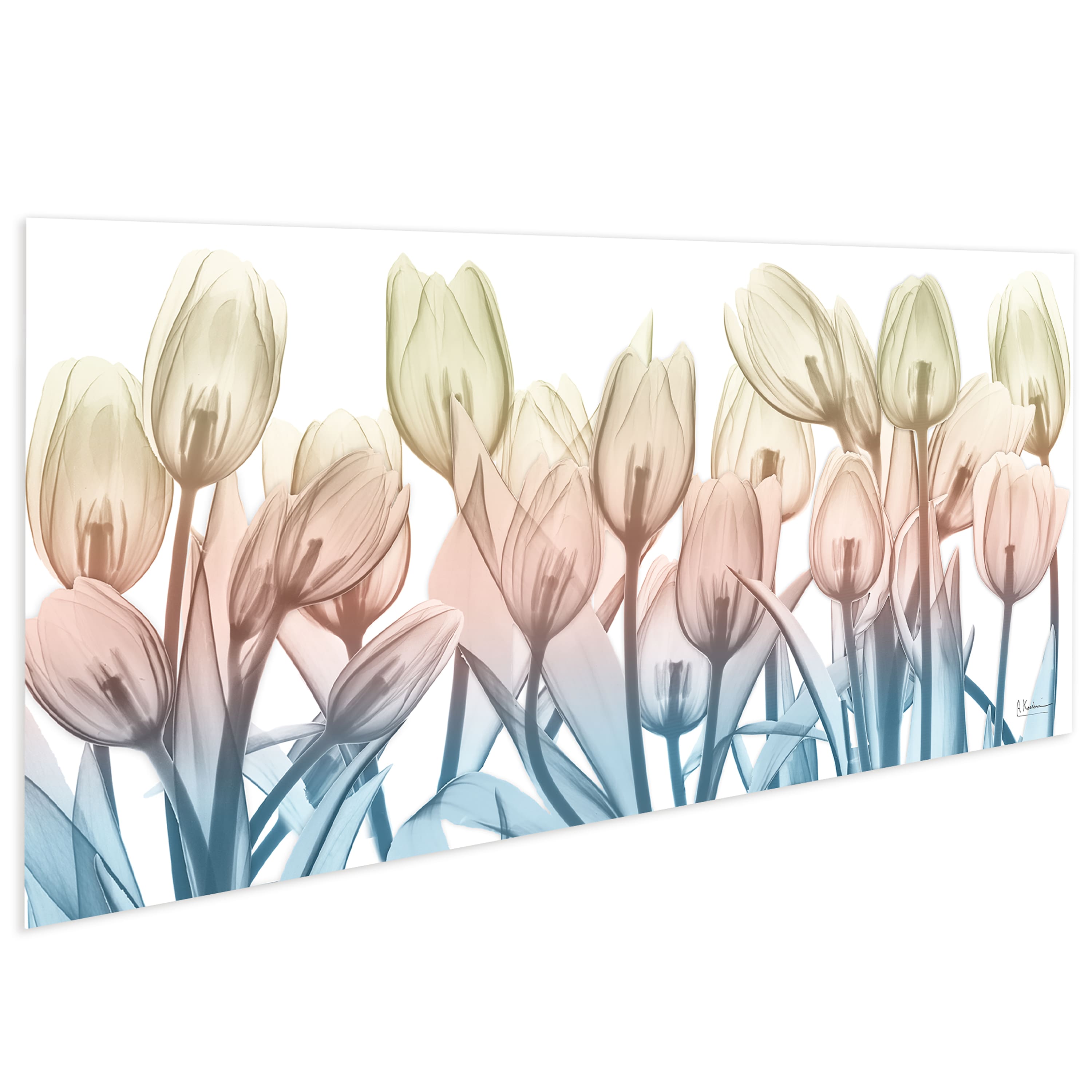 Empire Art Direct 24" x 63" Spring Blooms Frameless Free Floating Printed Tempered Glass Wall Art