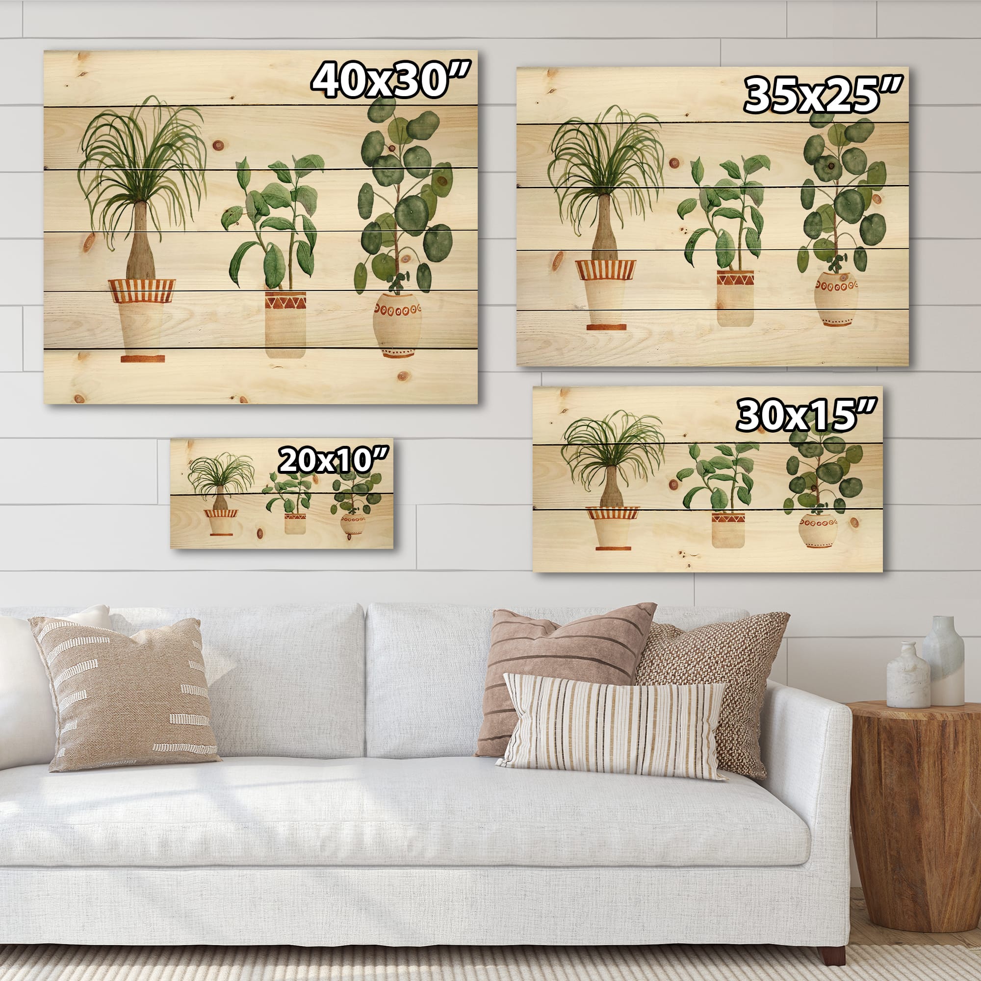 Designart - Trio of House Plants Ponytail Palm and Ficus