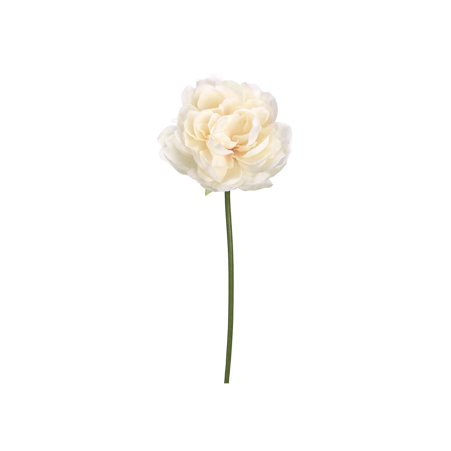 Cream Blush Peony Stem