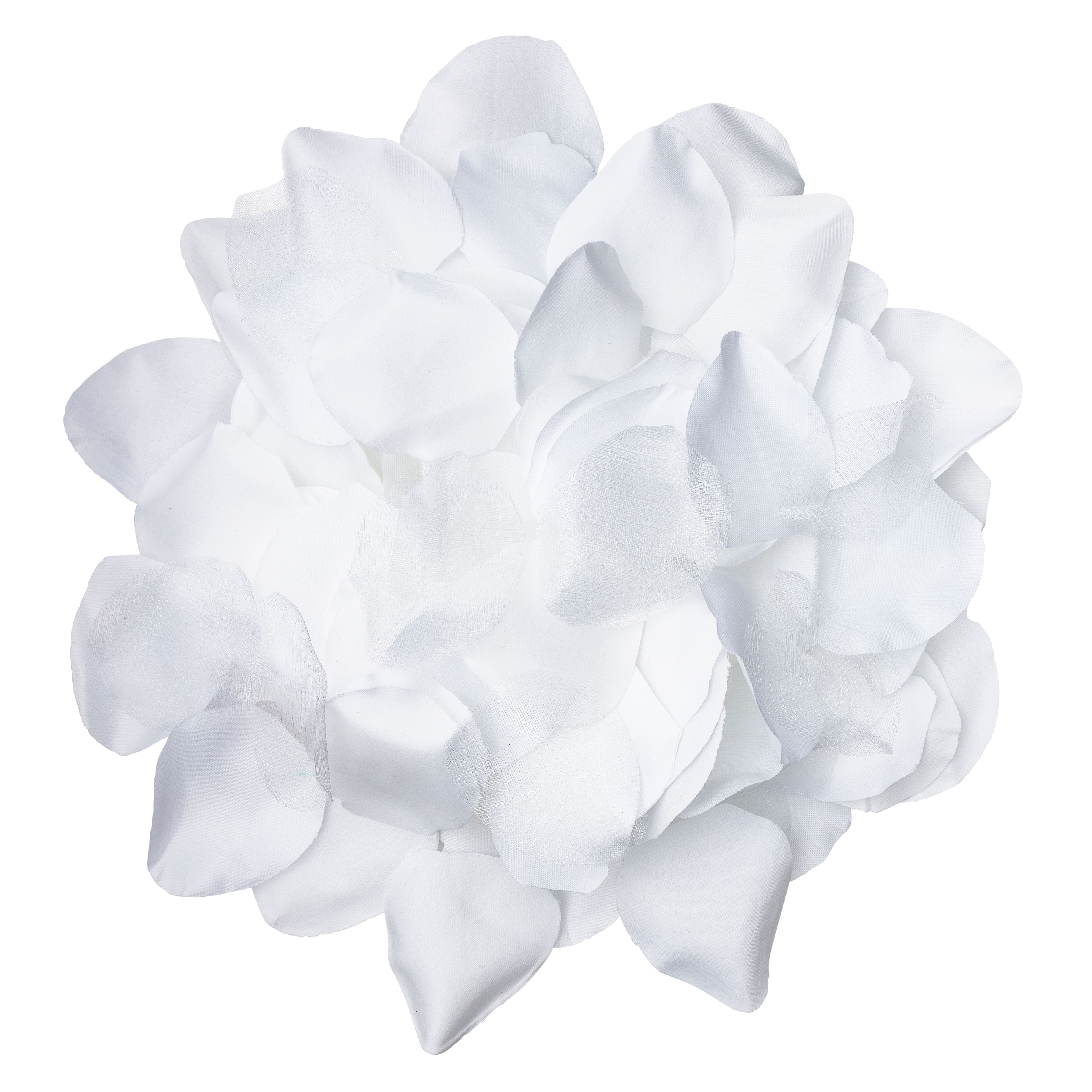 Celebrate It™ Occasions™ Decorative Rose Petals