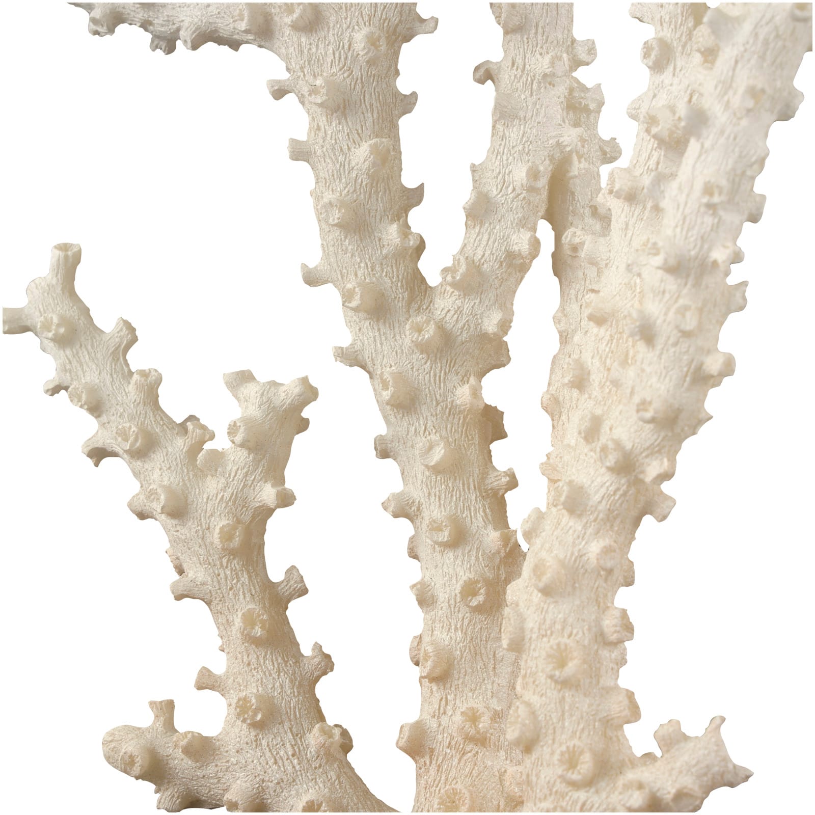 14" Cream Polystone Coral Sculpture with Clear Acrylic Base