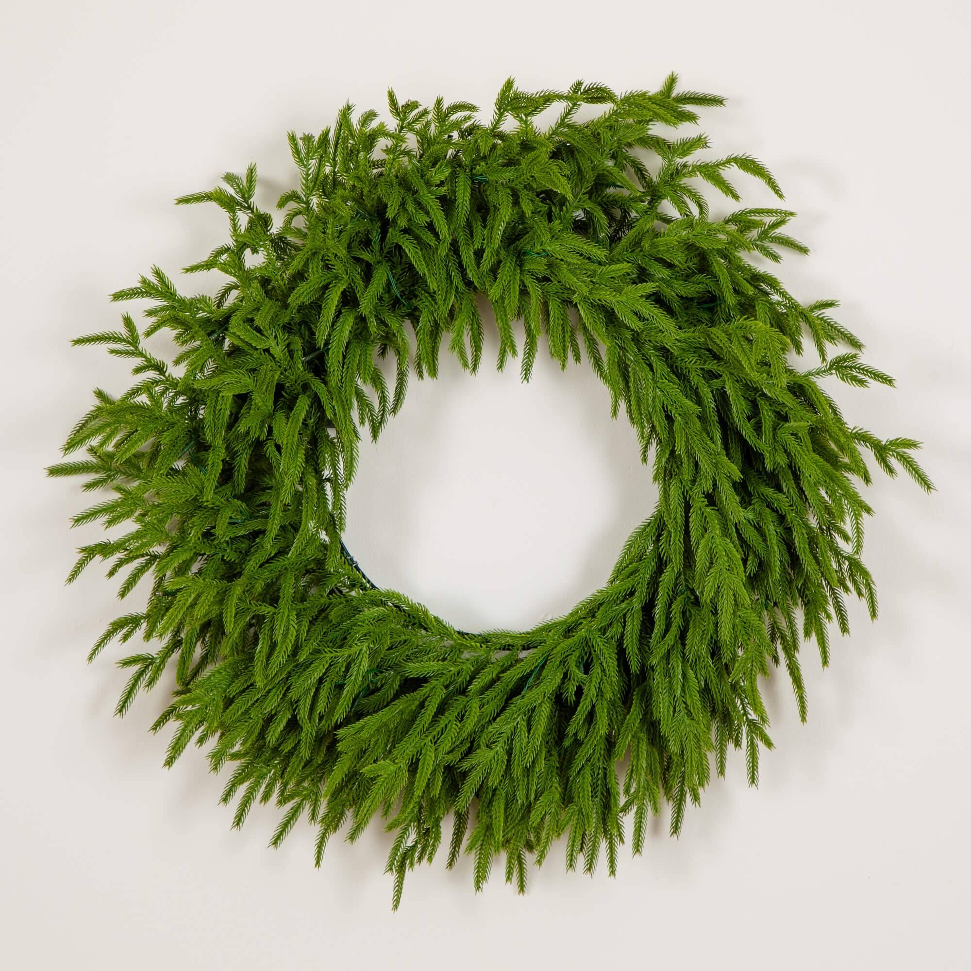 24in. Pre-Lit Artificial Real Touch Norfolk Island Pine Wreath with 50 Warm White LED Lights and Natural Look