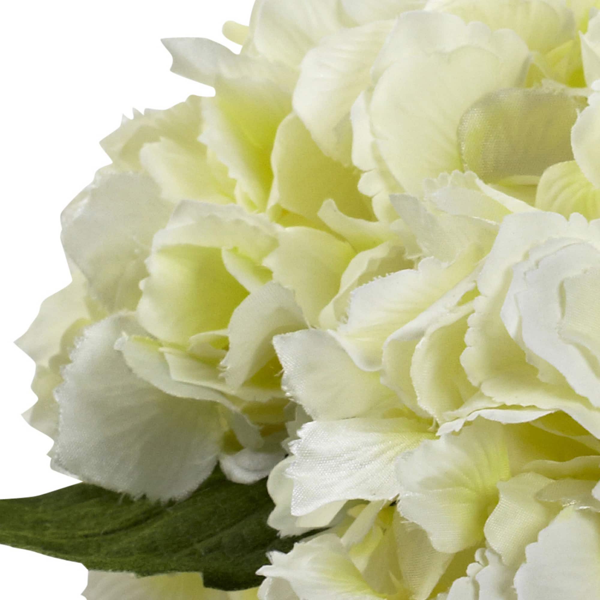 8.5" Cream Blooming Hydrangea in Glass Vase