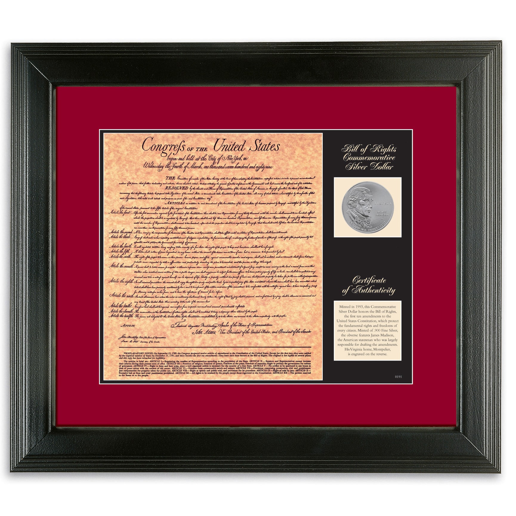 Birth of a Nation - Bill of Rights