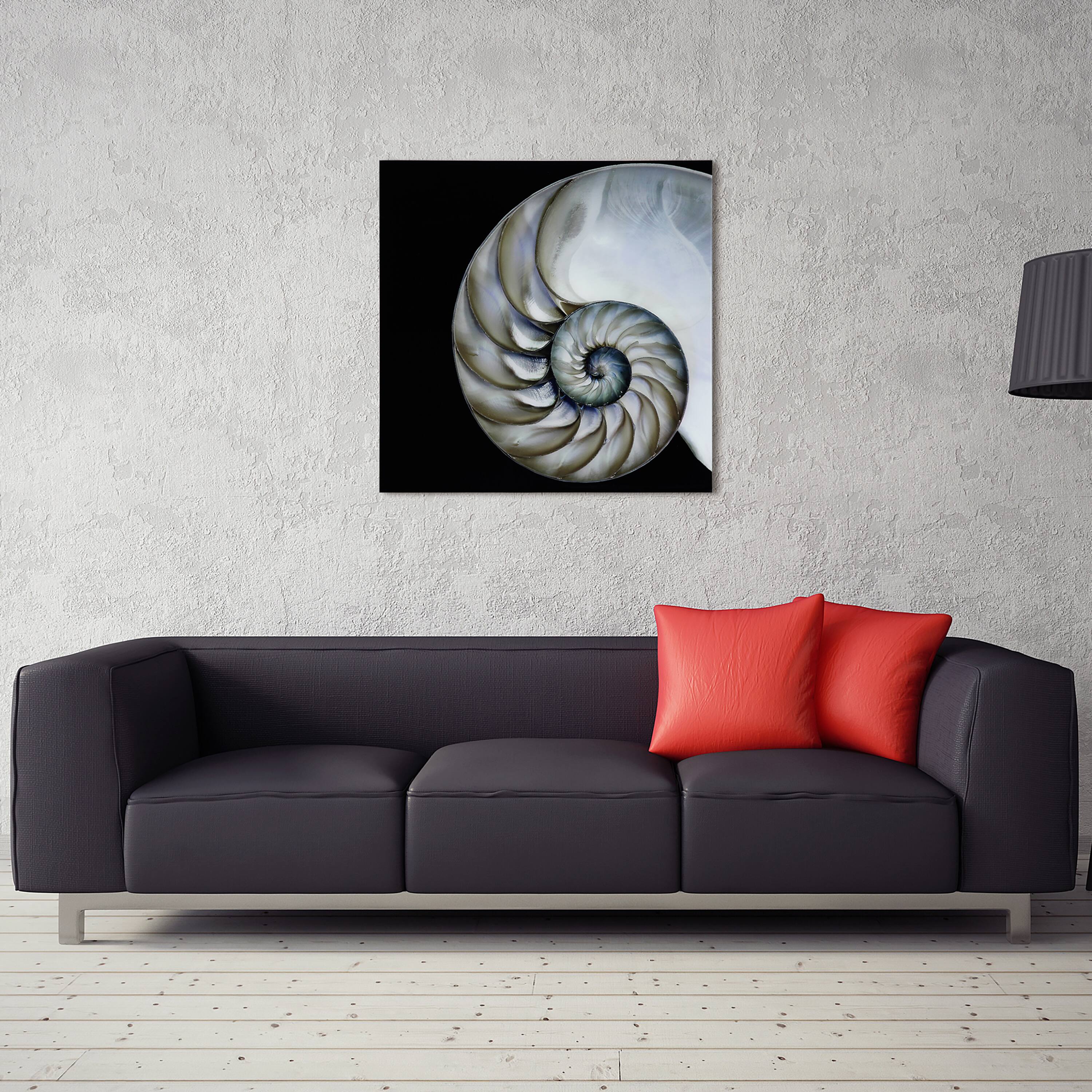 Empire Art Direct 36" x 36" Pearly Nautilus Free Floating Tempered Glass Wall Art