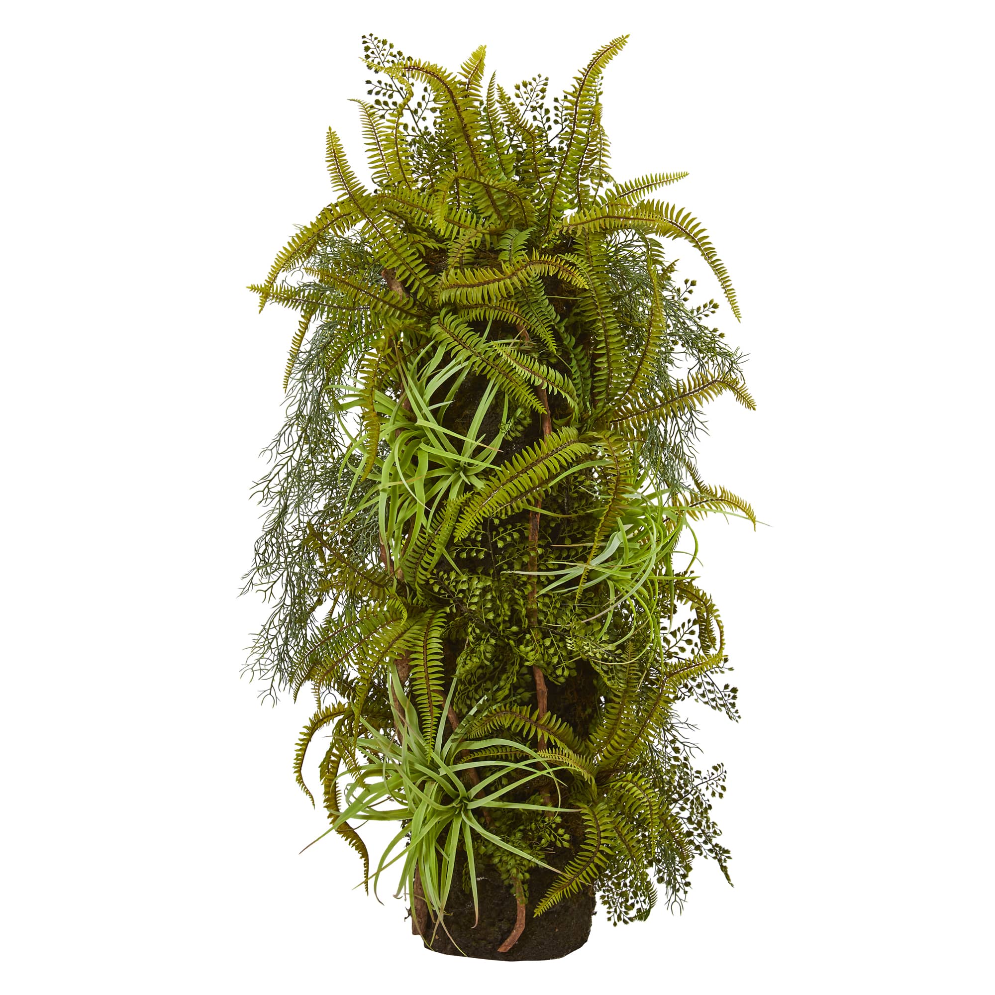 3.5ft. Mixed Forest Foliage Plant On Trunk