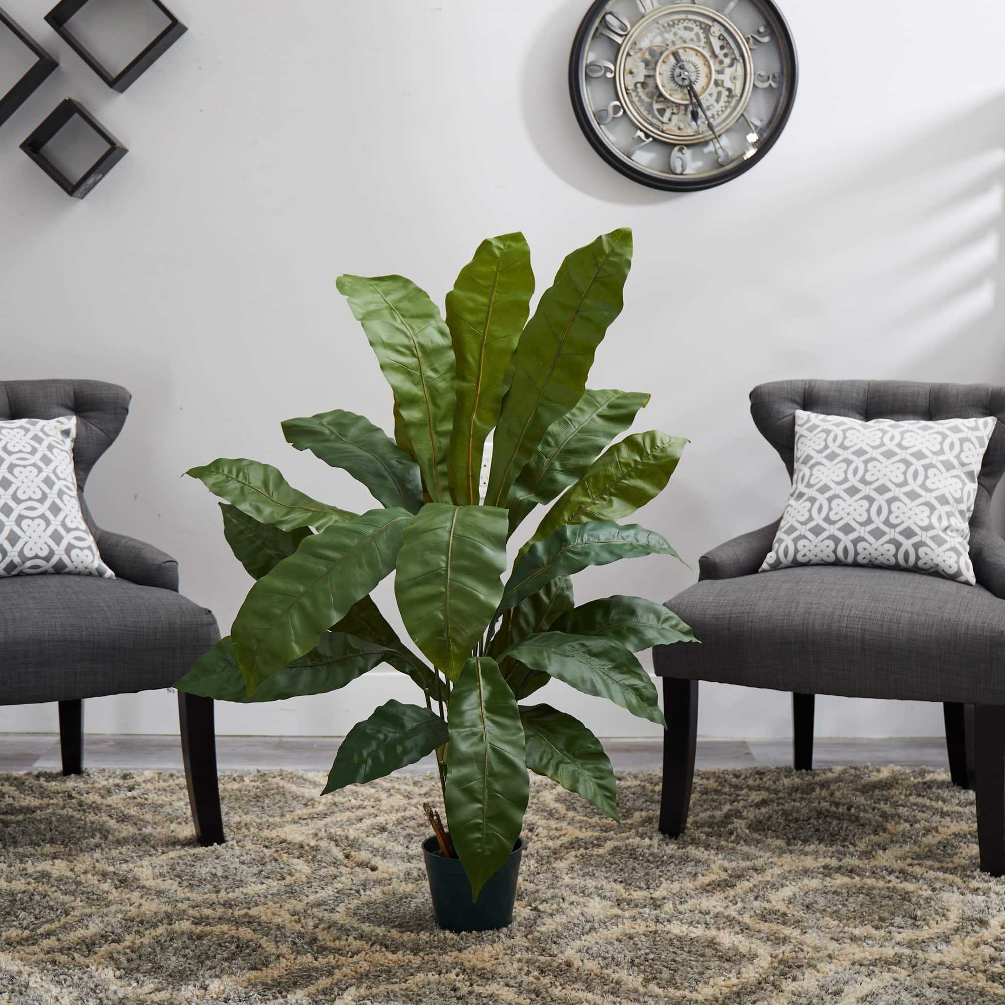3.5ft. Potted Birds Nest Plant