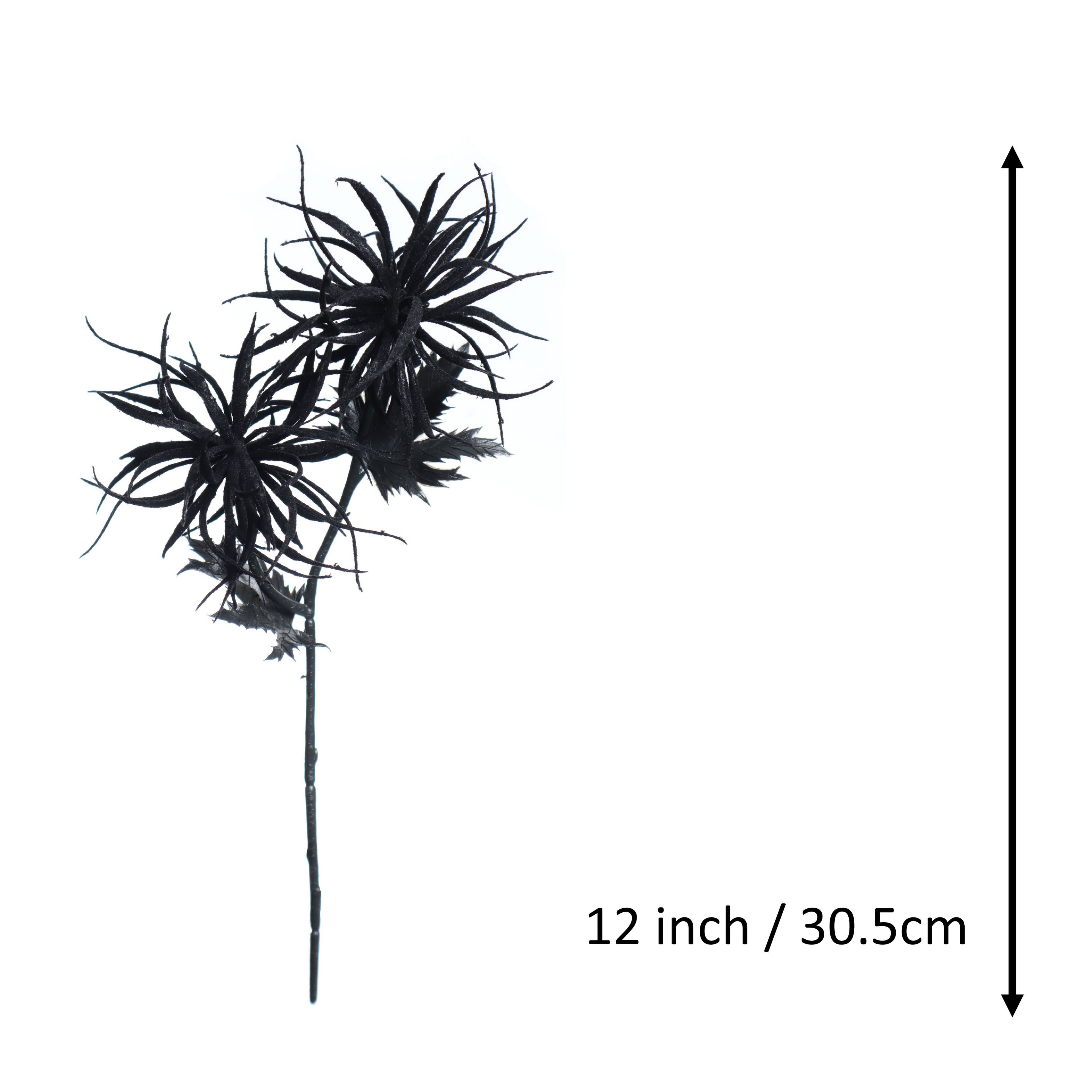 12" Black Airplant Pick by Ashland.