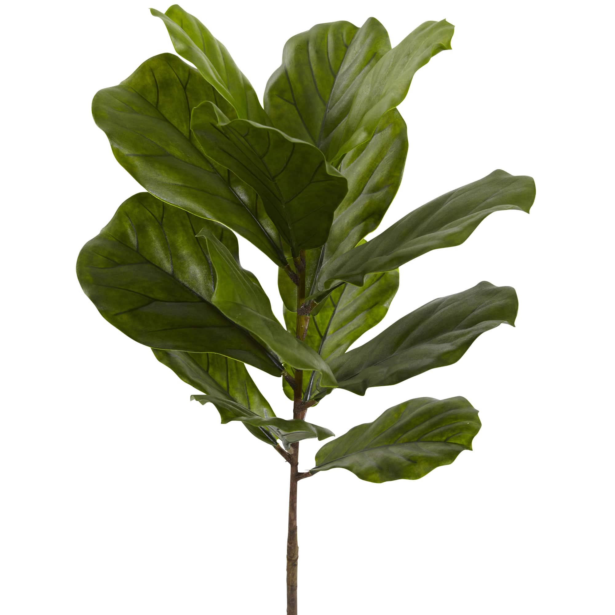 4ft. Potted Fiddle Leaf Tree