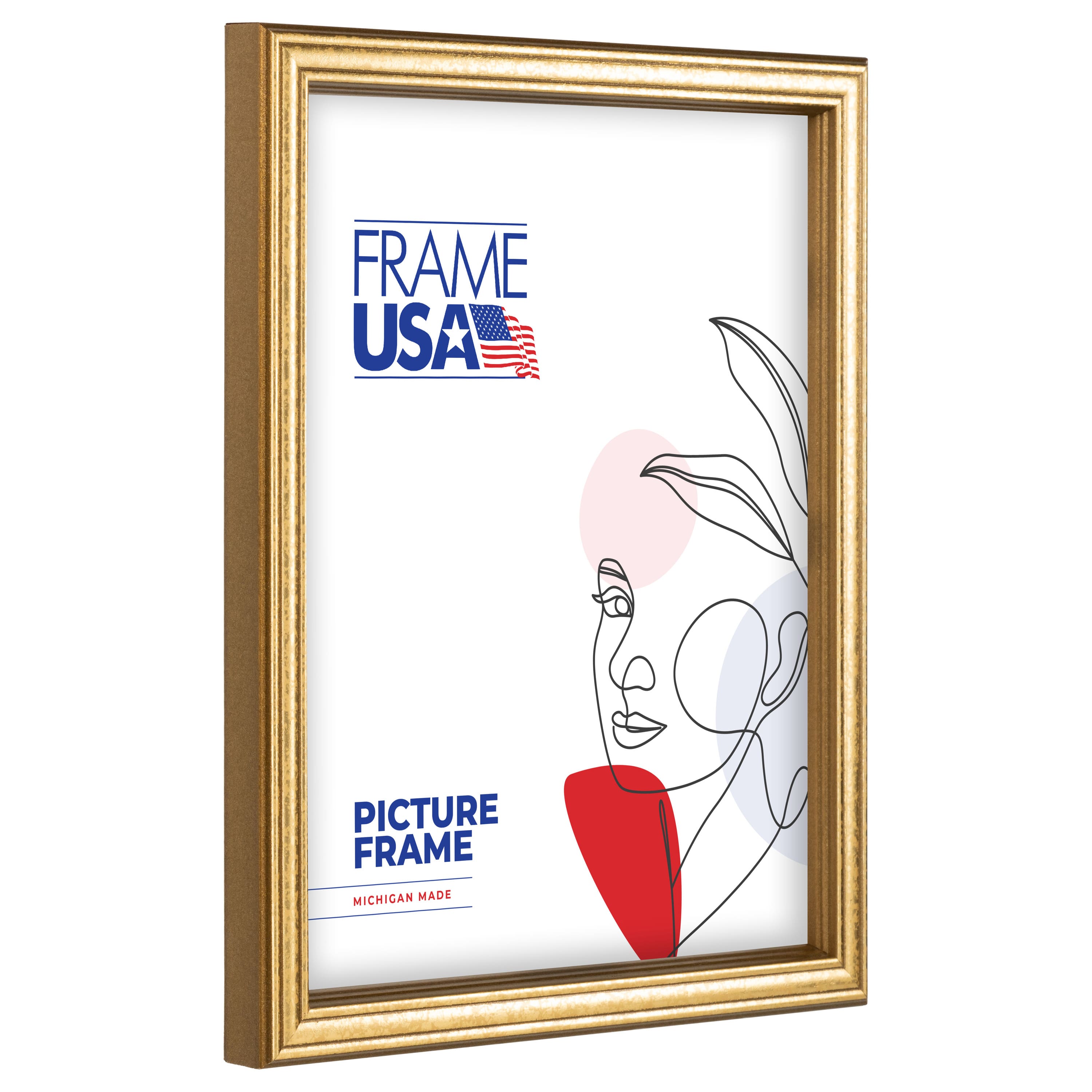 Frame USA Economy Gold Single Image Picture Frame