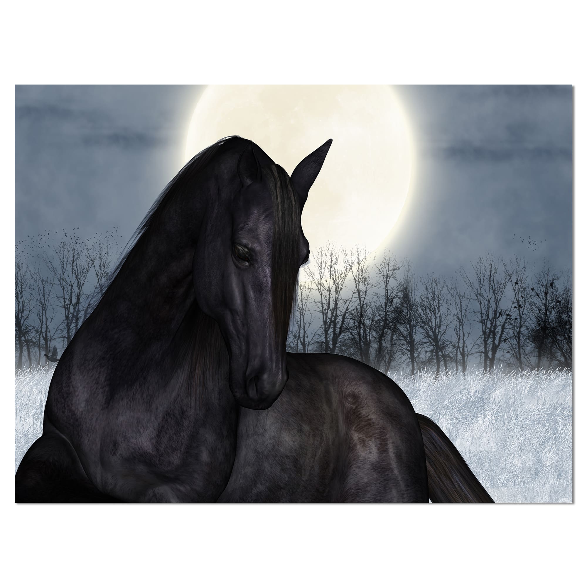 Designart - Black Horse in Moonlight - Animal Canvas Art Print