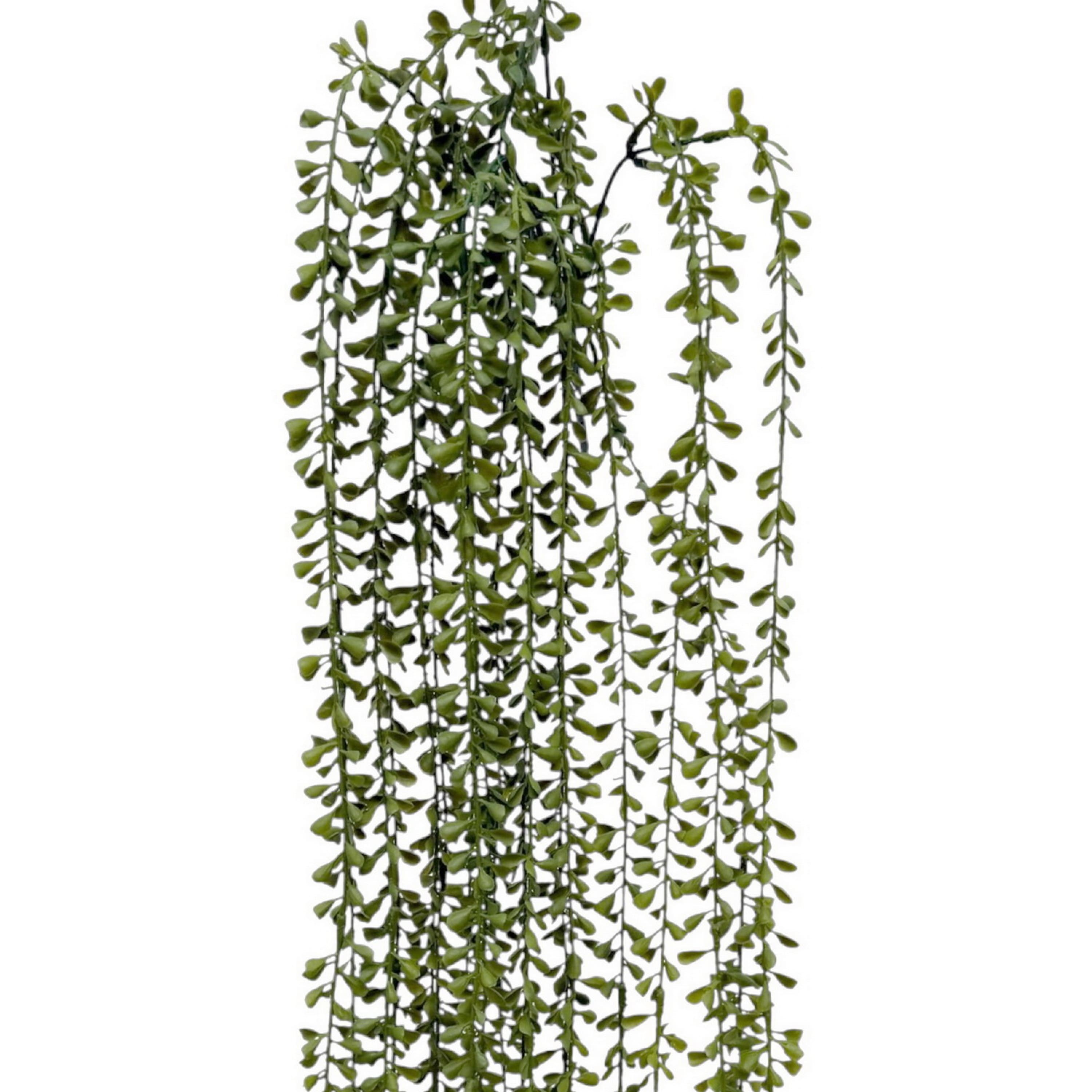 26.5" Hanging Jade Bush by Ashland®