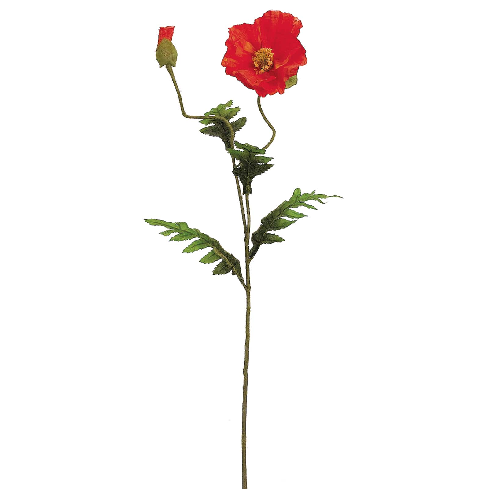 Orange Poppy Spray