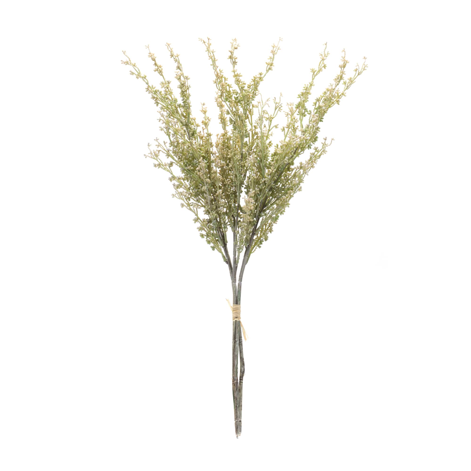 24.25" Mini Seed Pod Bundles, 2ct.