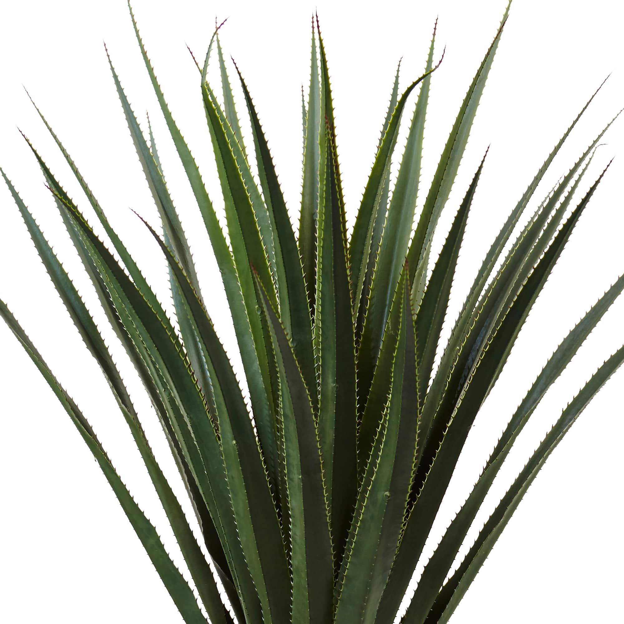 5ft. Spiked Agave Plant in Cement Planter