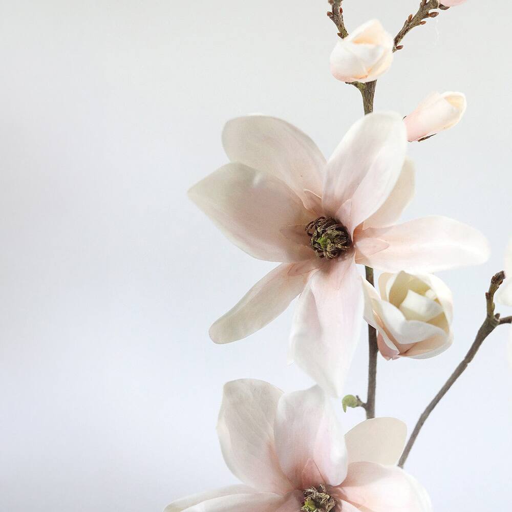 Prestige Botanicals 35" Artificial Blush Magnolia Blossom Branch Stem