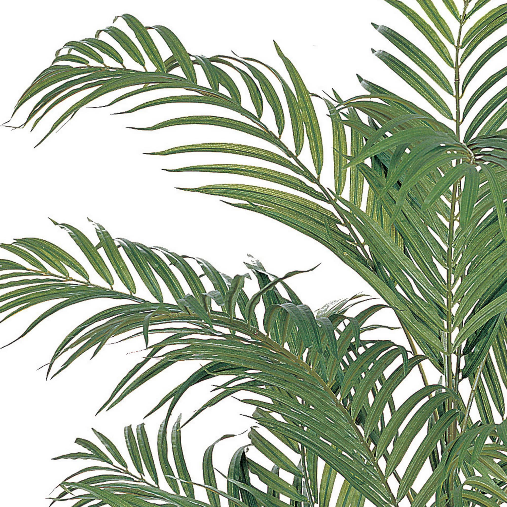 4ft. Potted Areca Silk Palm Tree