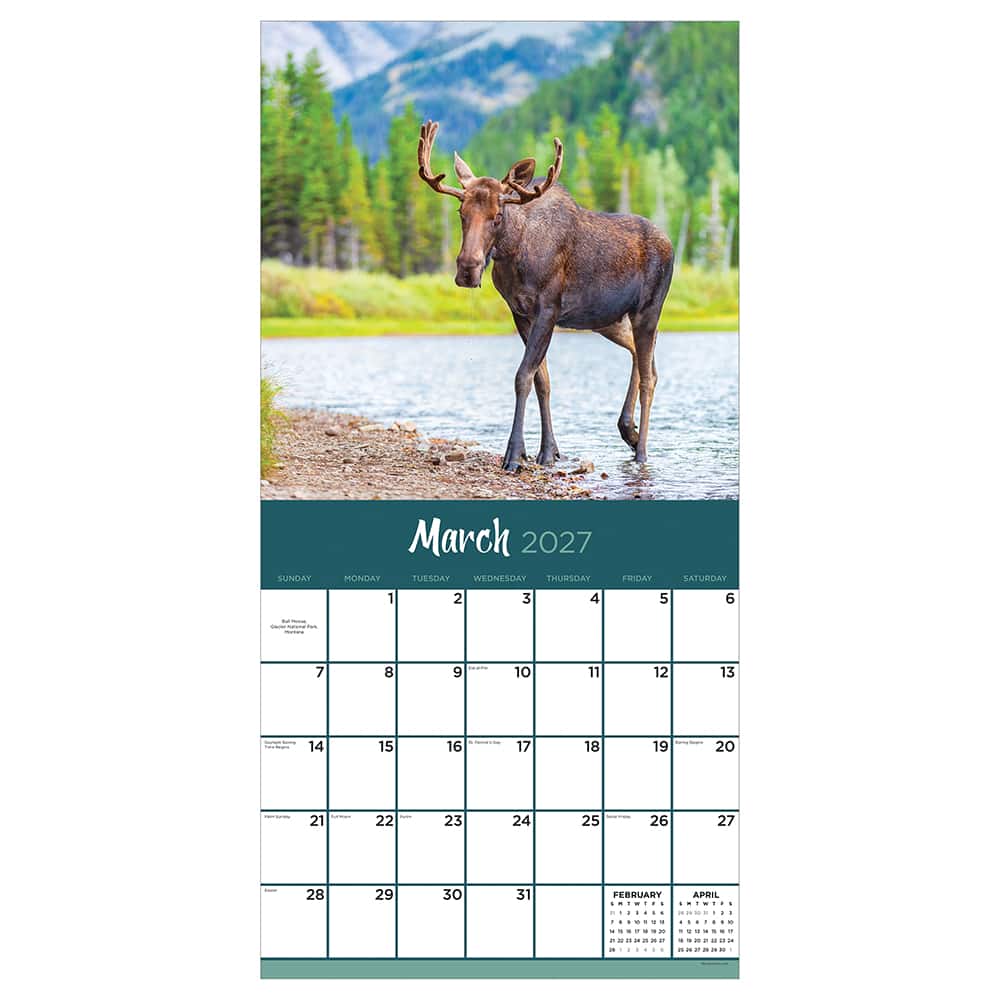 2027 Wild Wall Calendar