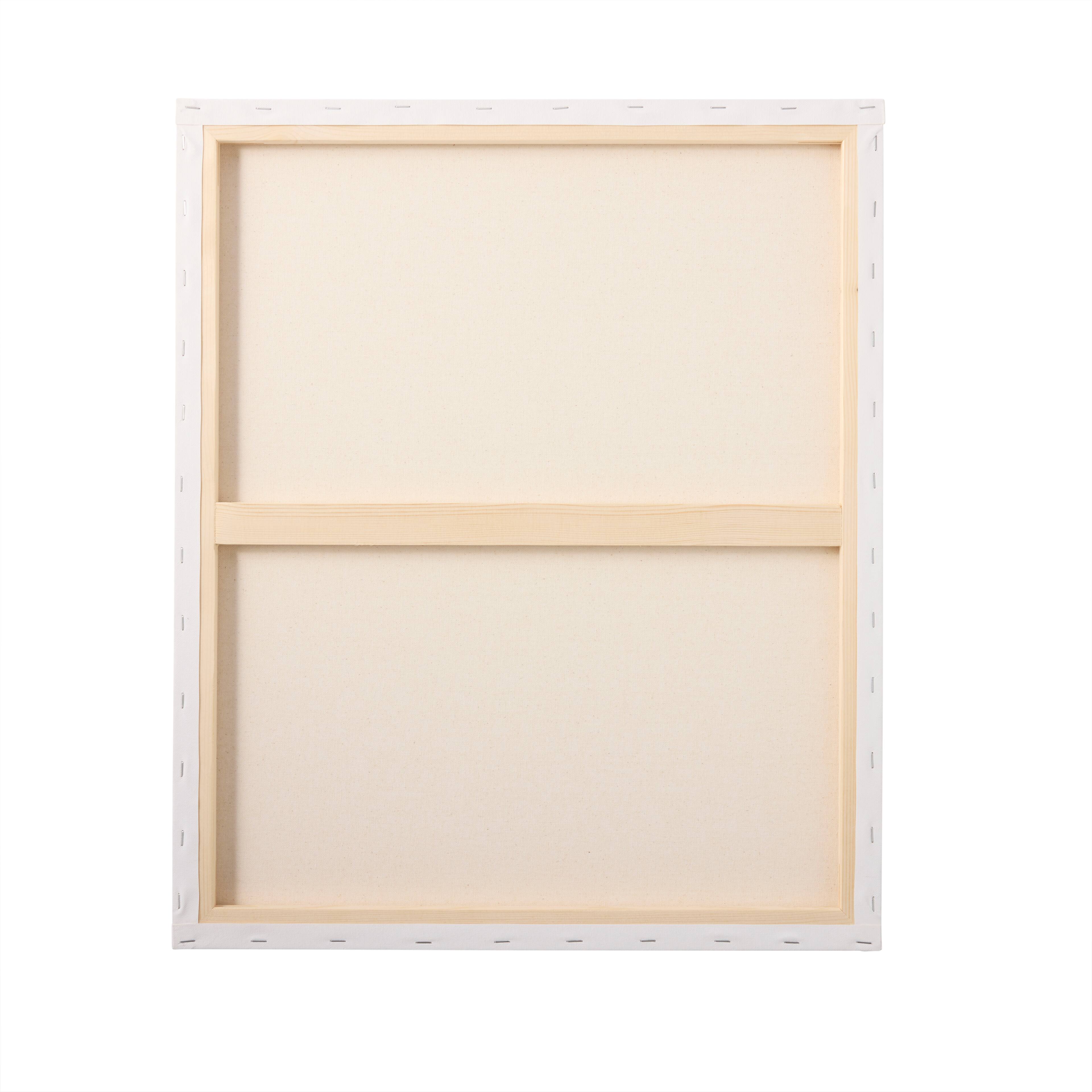 3 Pack 20" x 24" Super Value Canvas by Artist's Loft®