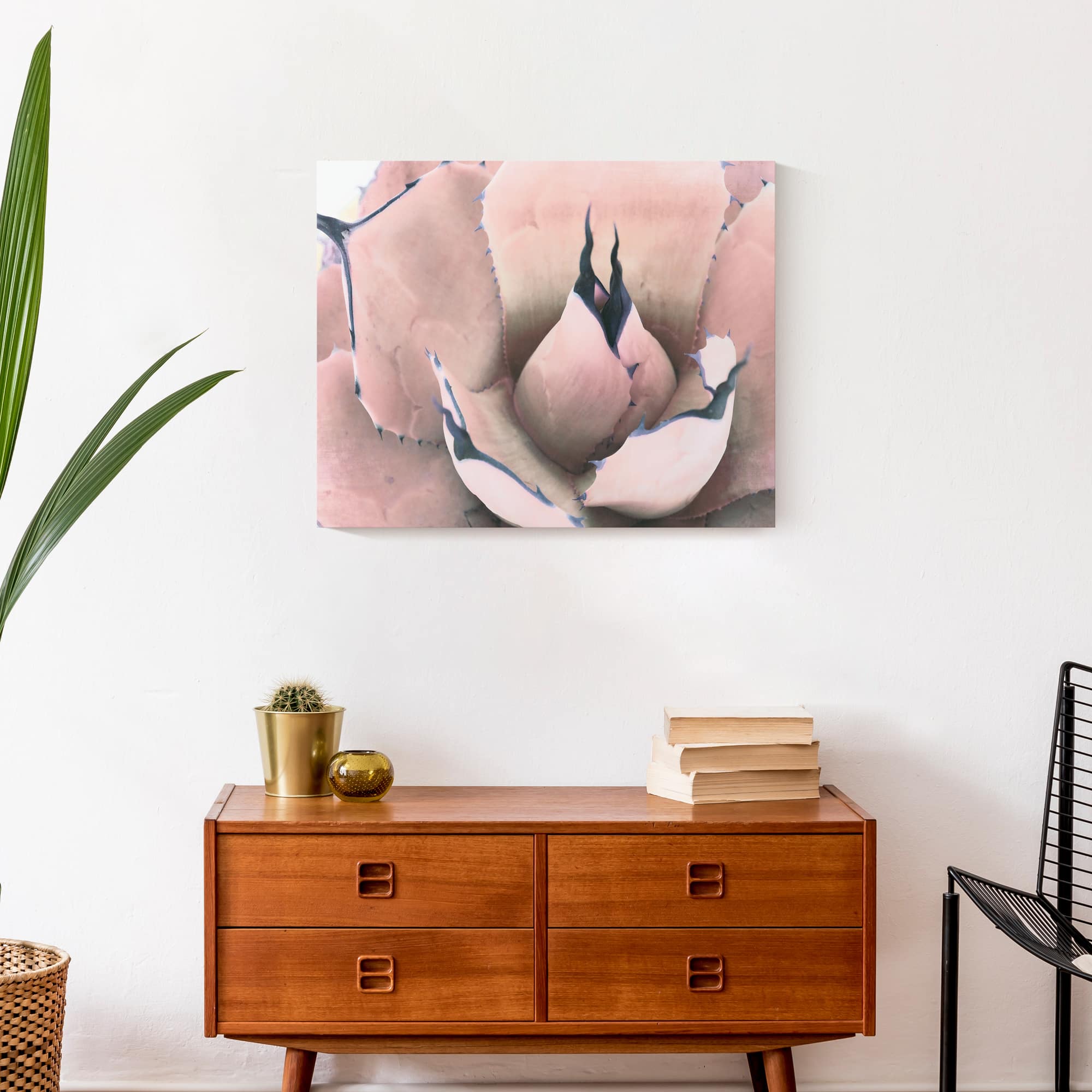 Pink Succulent 20" x 16" Canvas Wall Art