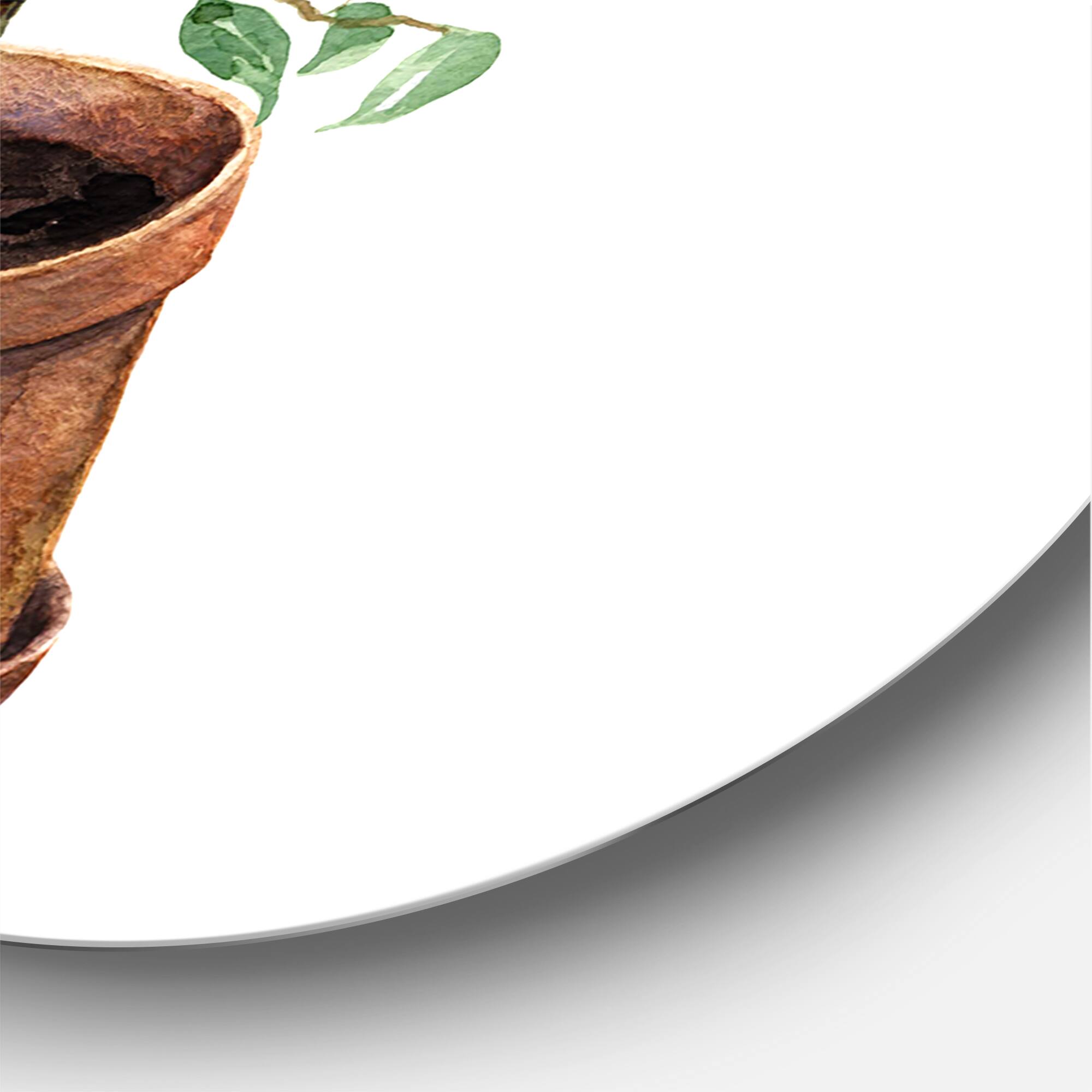 Designart - Ficus Benjamina In Clay Flowerpot - Traditional Metal Circle Wall Art
