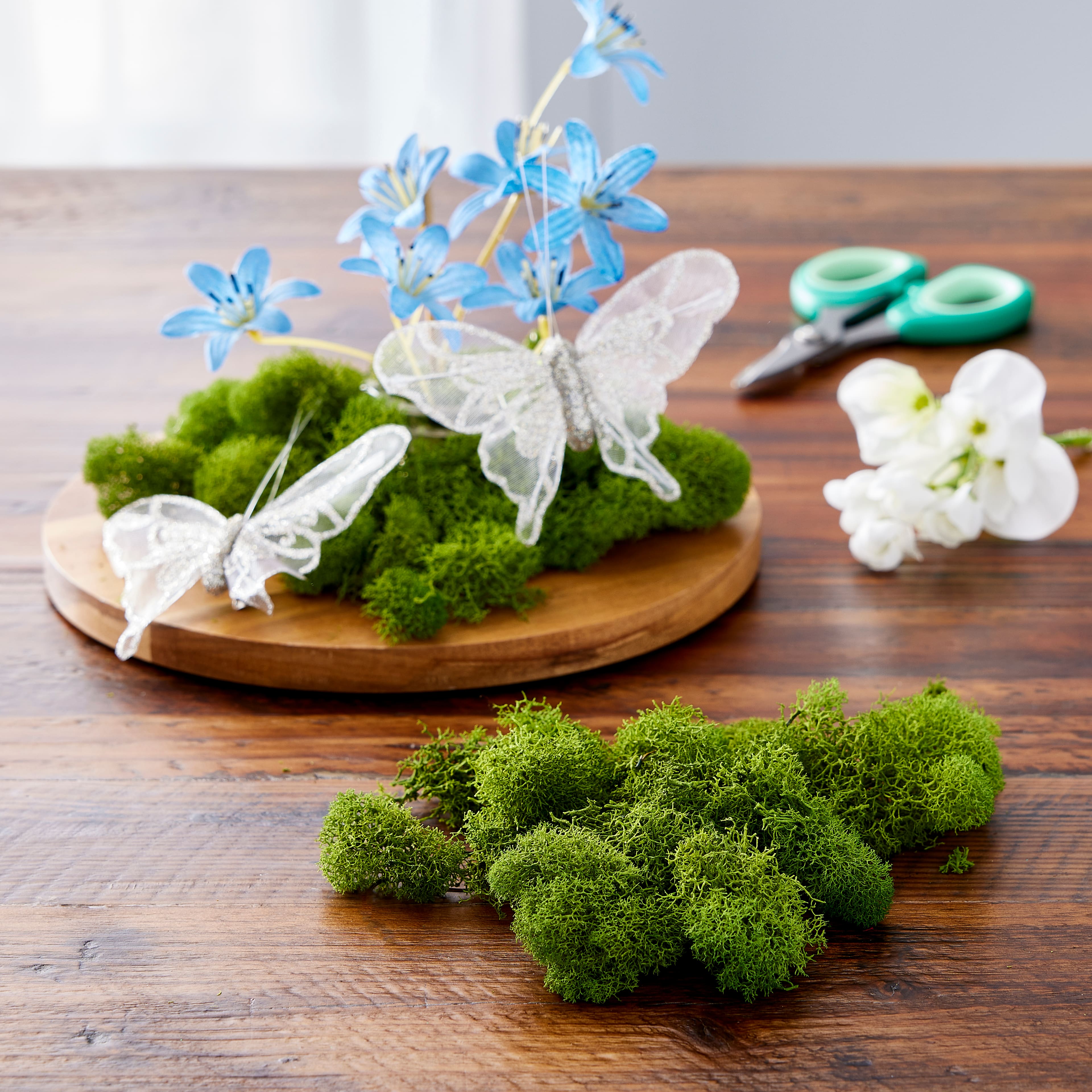 SuperMoss® Basil Reindeer Moss