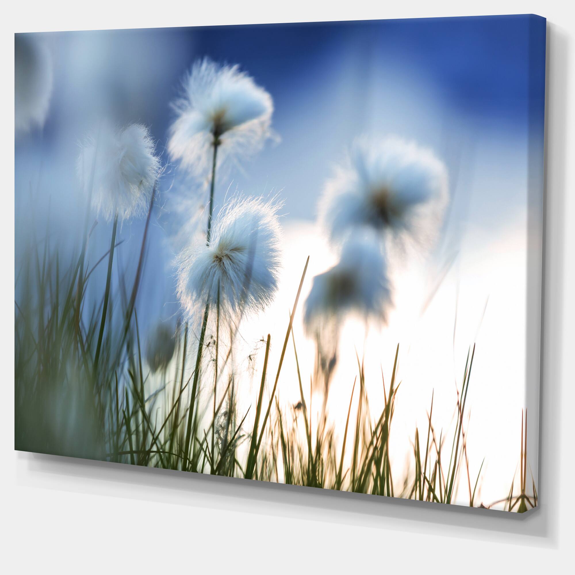 Designart - Beautiful Polar White Flowers