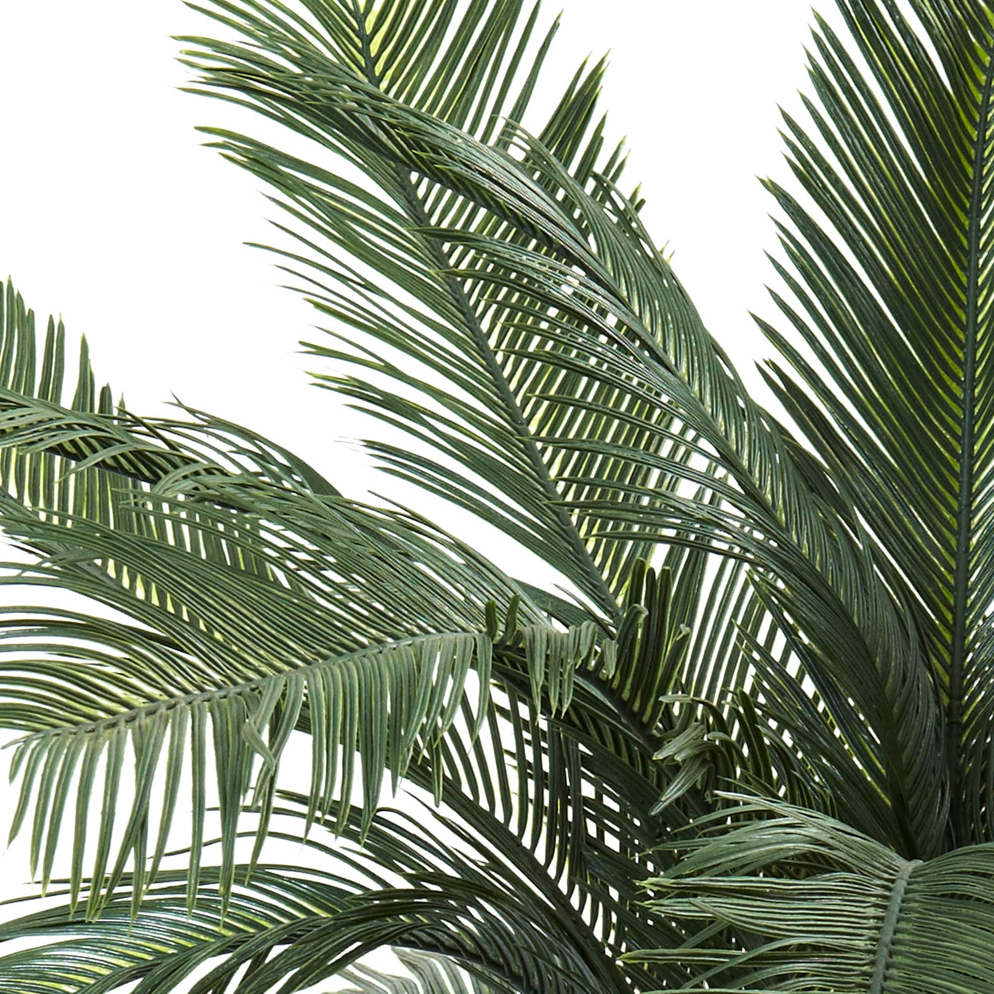 4ft. Potted UV Resistant Cycas Tree