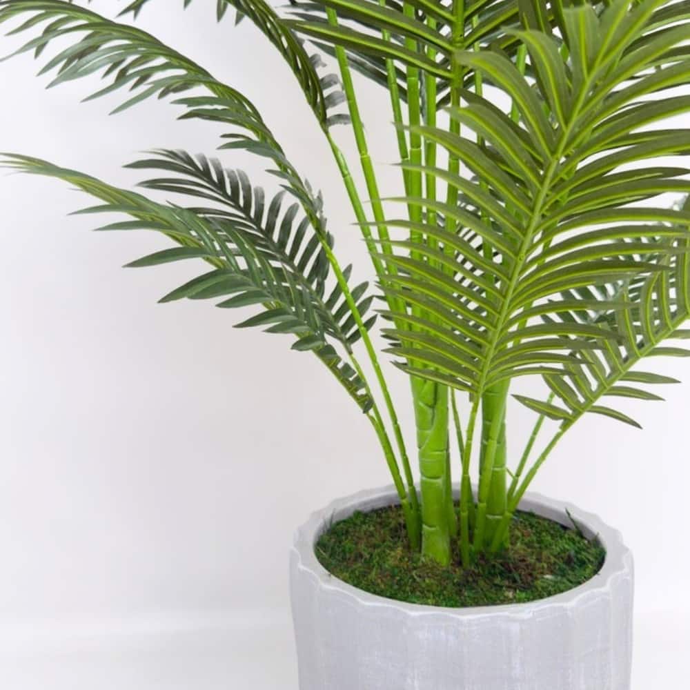 House of Silk Flowers 52" Green Faux Areca Palm in Stone Wash Gray Ribbed Ceramic Pot