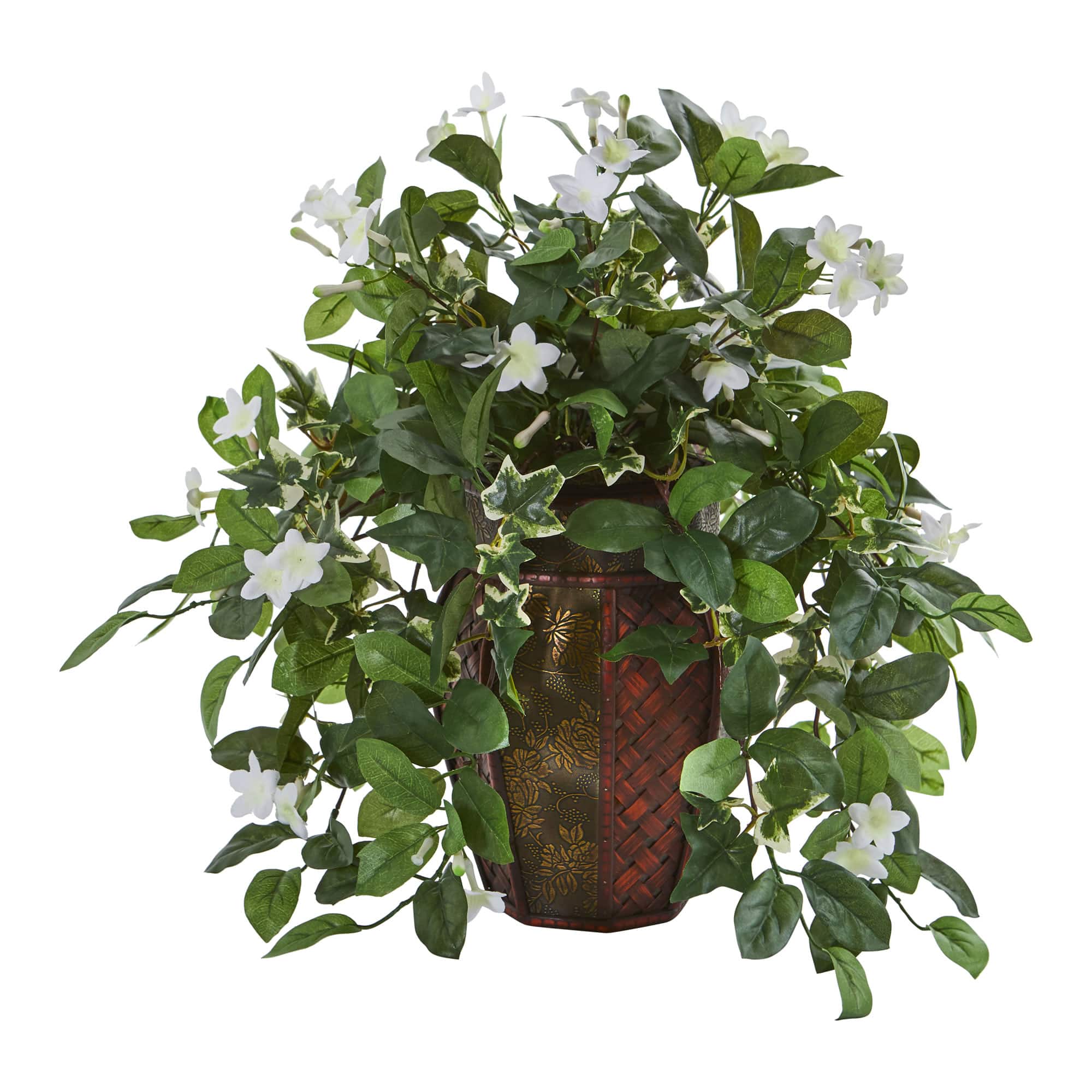 17" Stephanotis & Ivy Plant in Decorative Planter