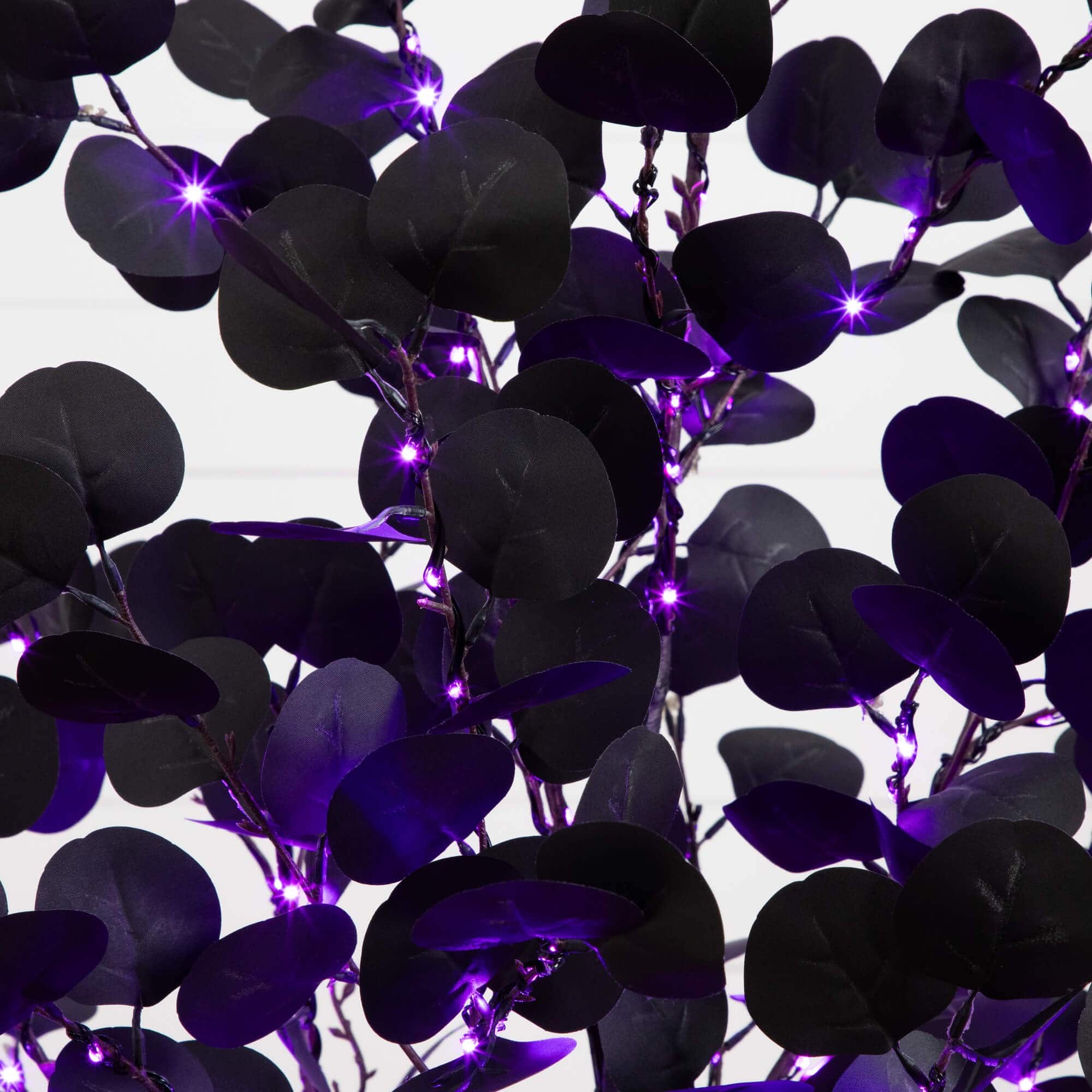 5ft. Pre-Lit Artificial Halloween Black Eucalyptus Tree with 220 Orange & Purple LED Lights