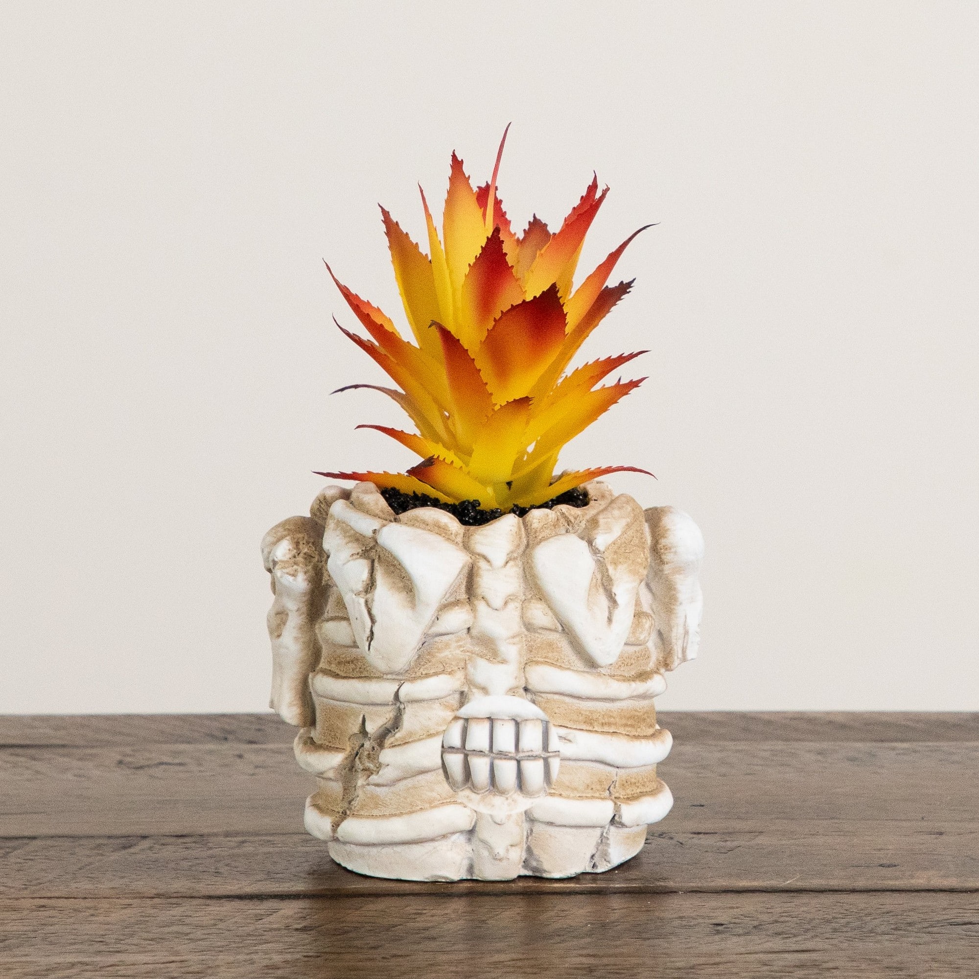 7" Artificial Halloween Succulent Plant in Skeleton Planter