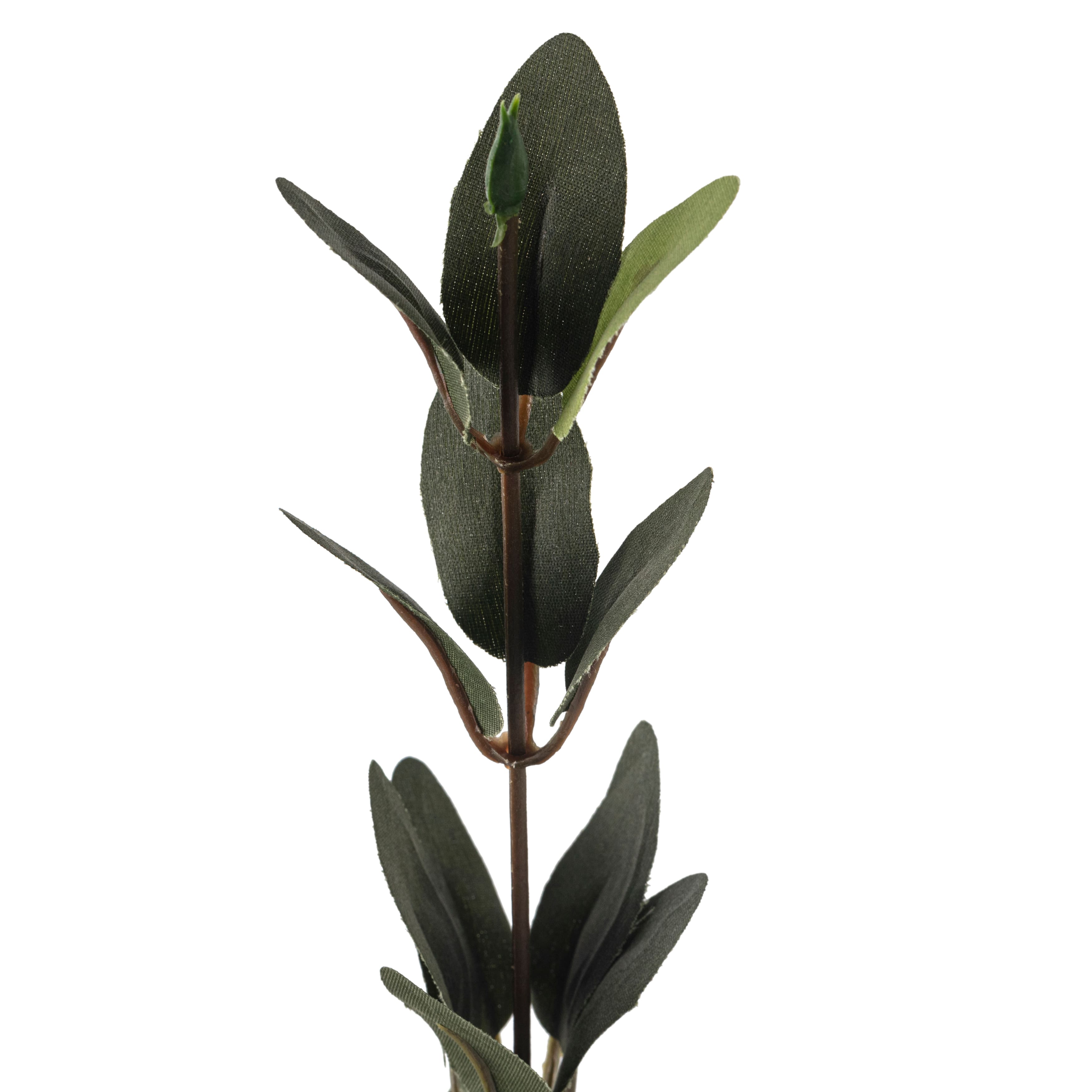 Huckleberry Leaf Spray by Ashland®