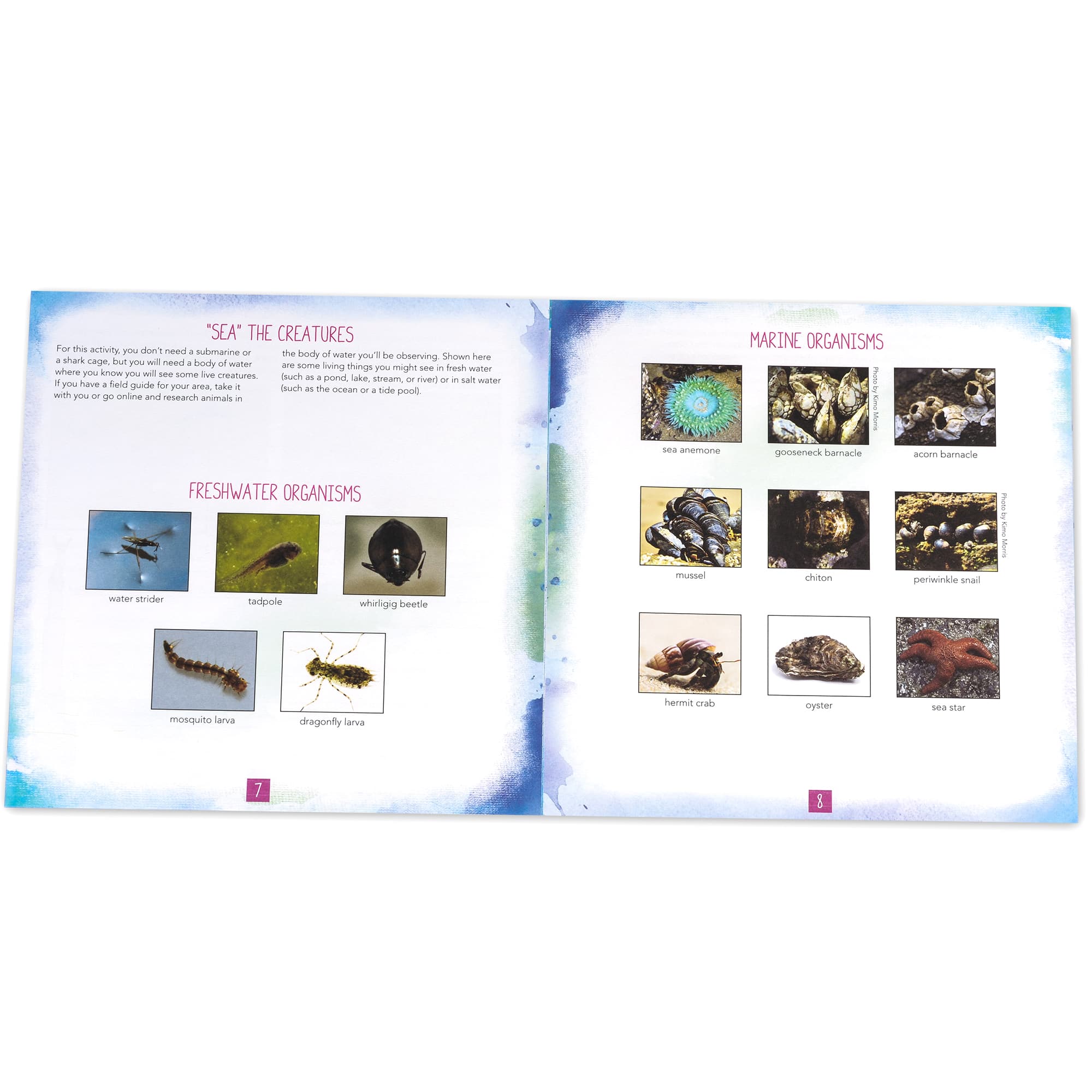 Educational Insights Nancy B's Science Club AquaScope