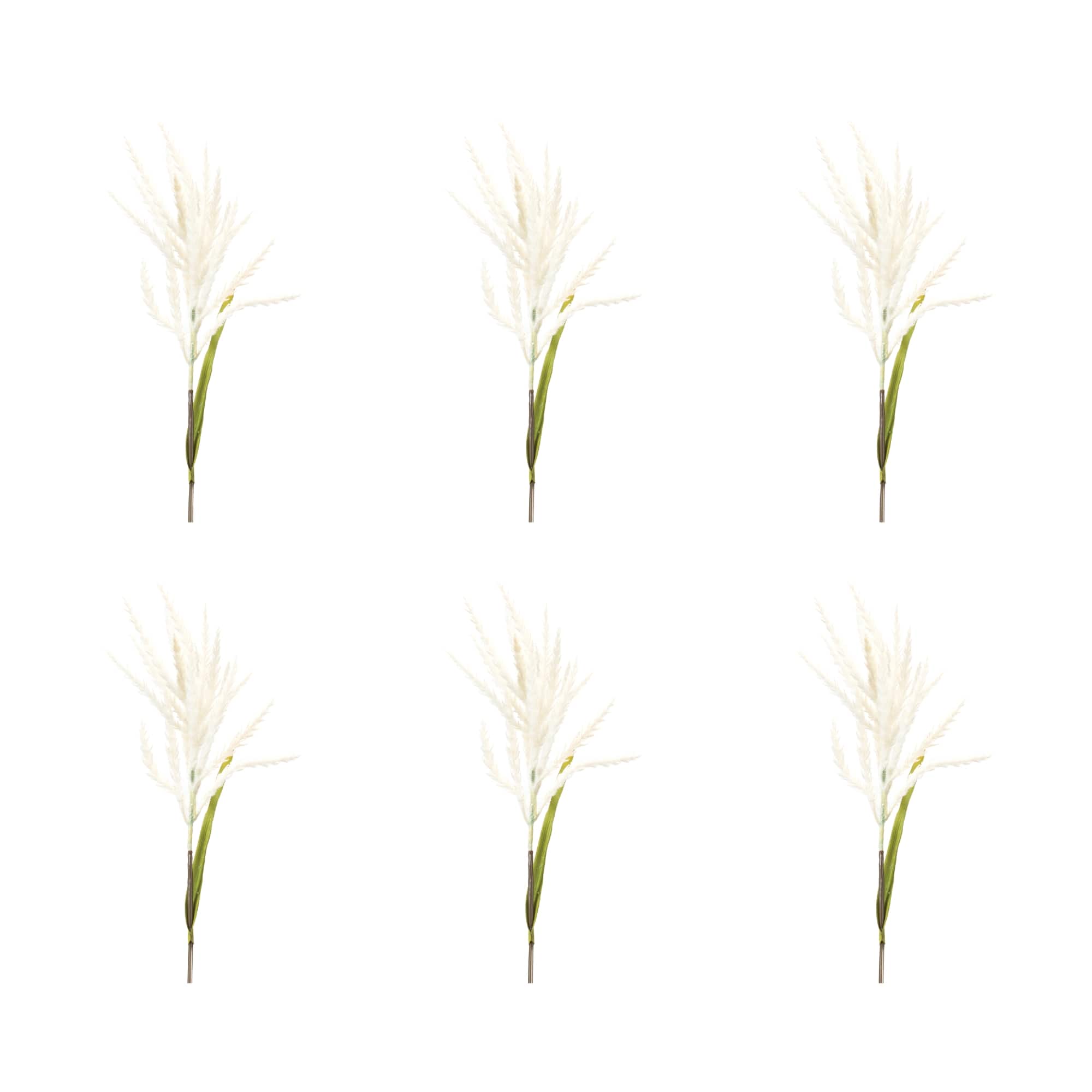 34" White Astilbe Stems, 6ct.
