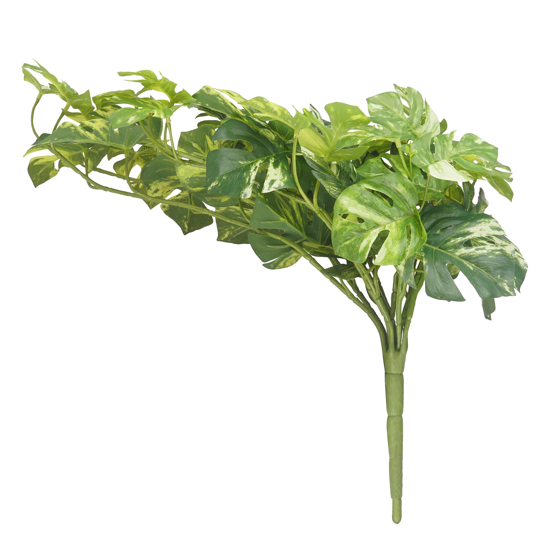 12 Pack: Split Hanging Philo Bush by Ashland®