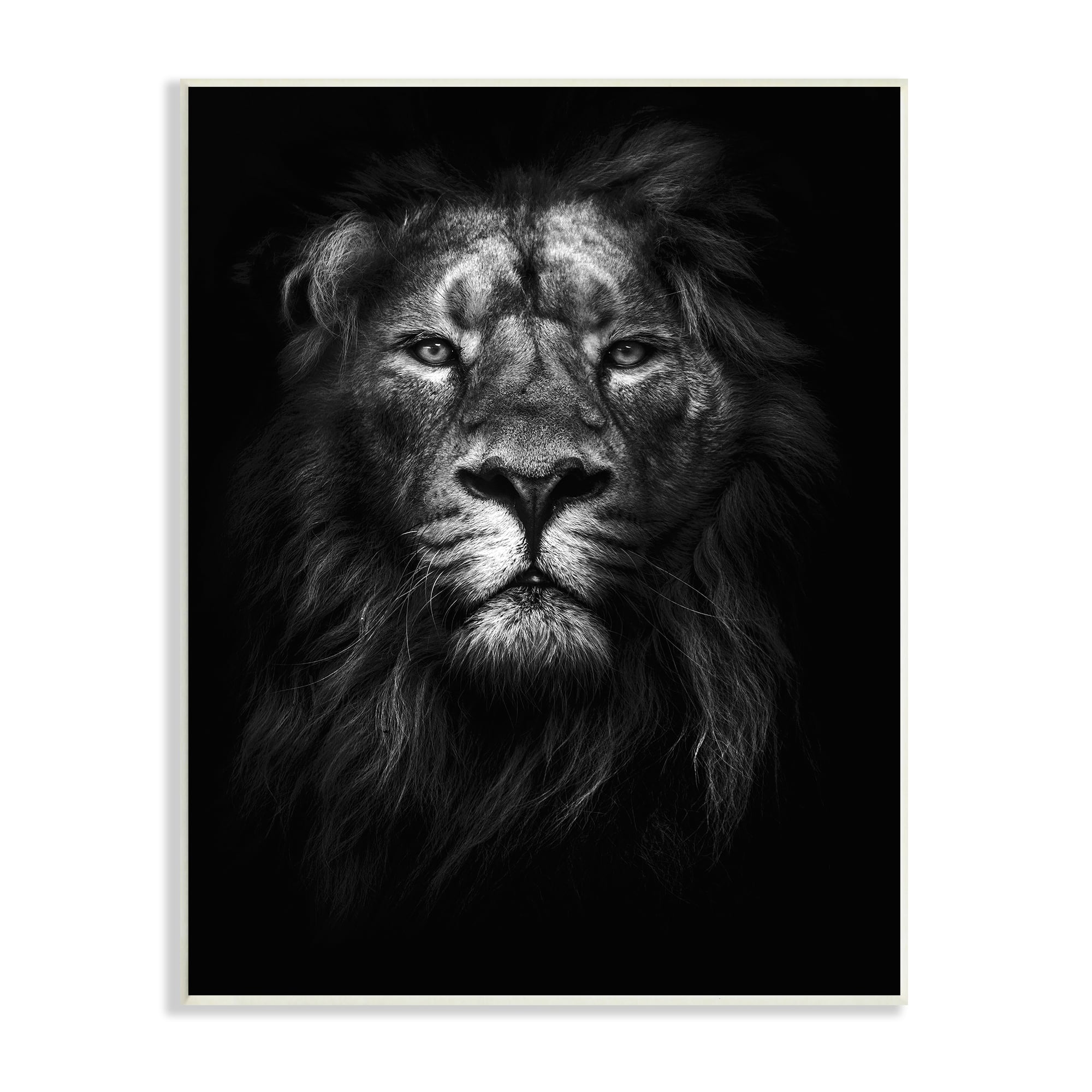 Stupell Industries Lion in Shadows Wall Plaque