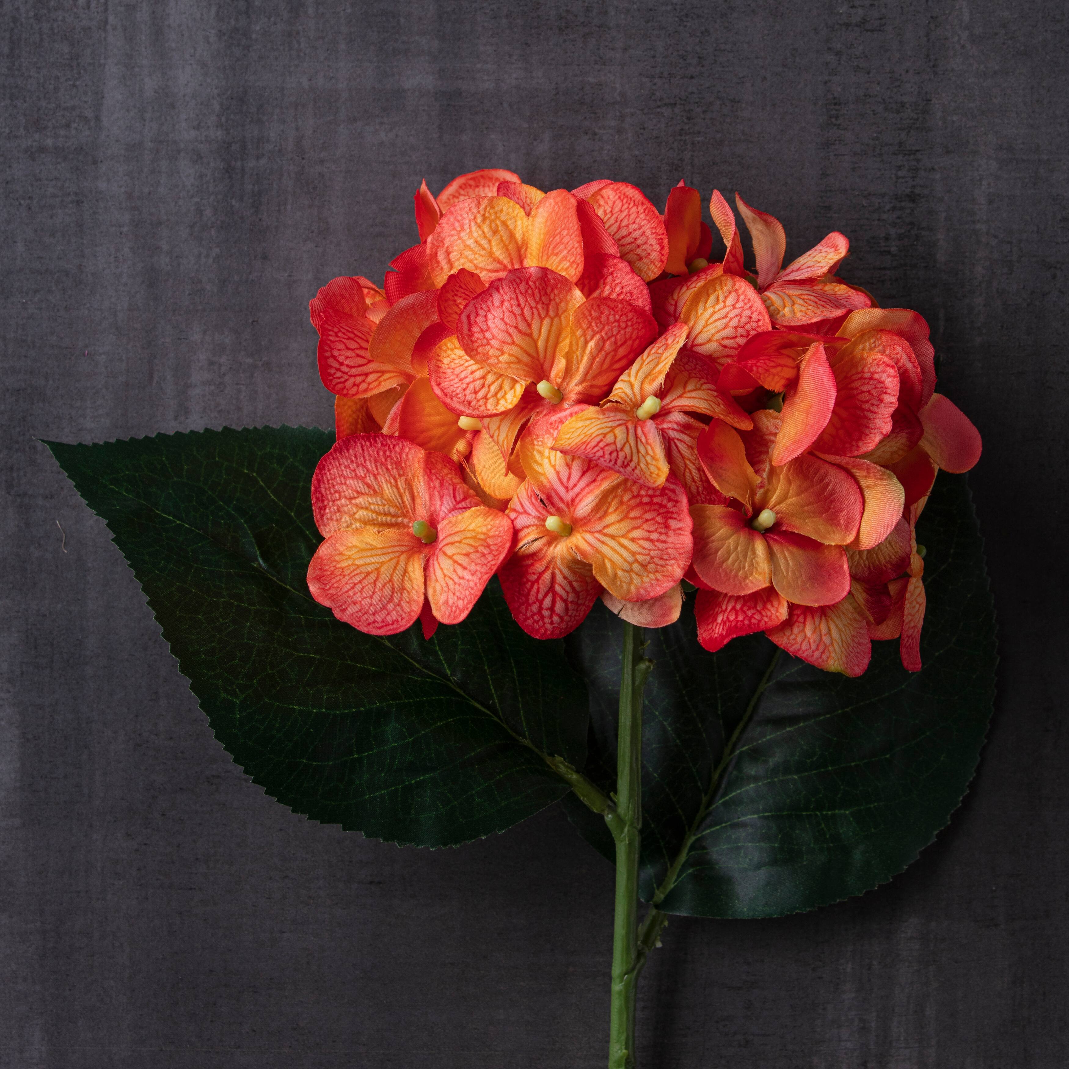 25" Hydrangea Stem by Ashland®