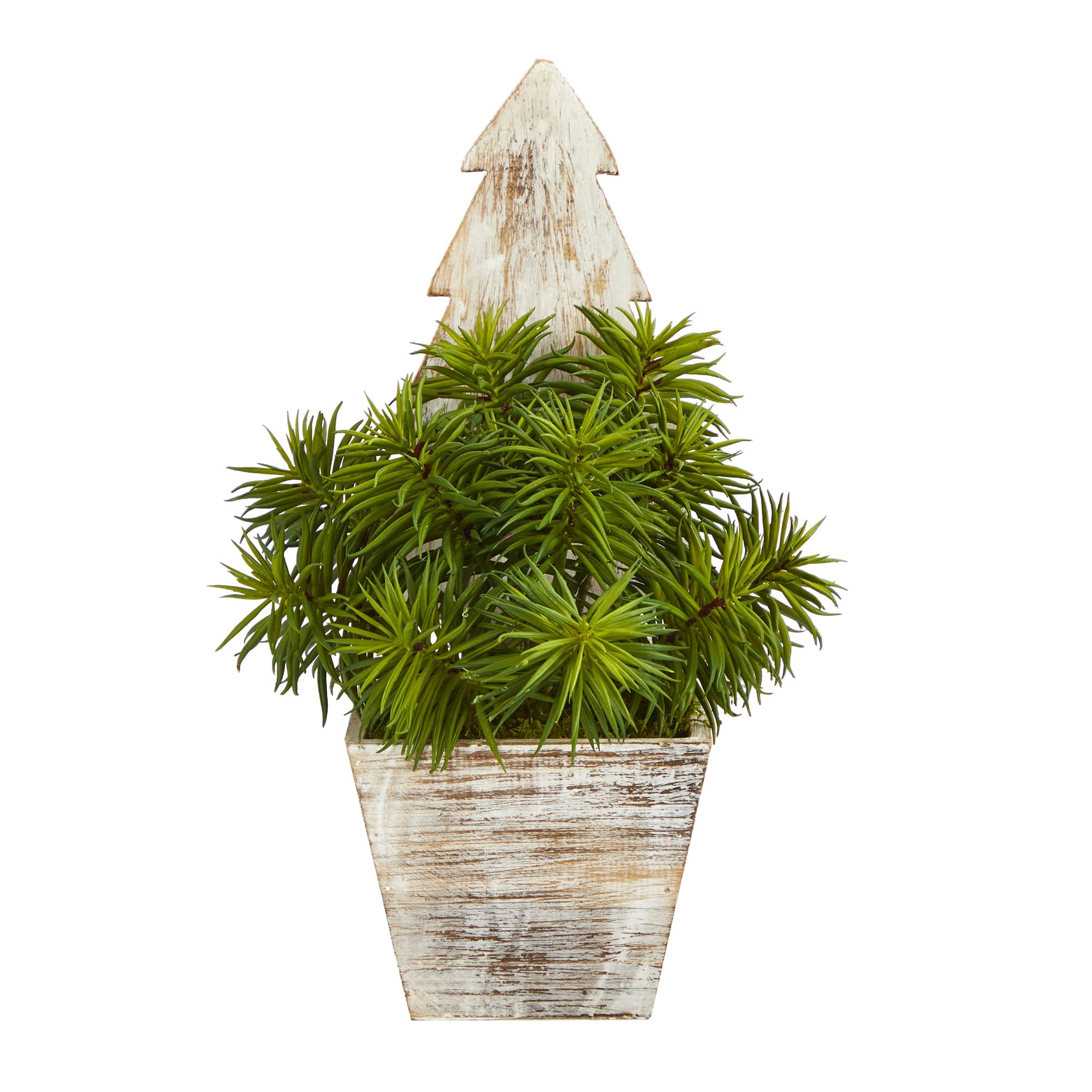 15" Unlit Succulent Artificial Plant in Christmas Tree Planter