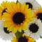 17.5" Sunflower Bush by Ashland®