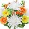 21" Dahlia, Ranunculus & Anemone Bush by Ashland®