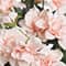 16.5" Camellia Bush by Ashland®