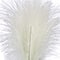 24" Pampas Grass Bush by Ashland®
