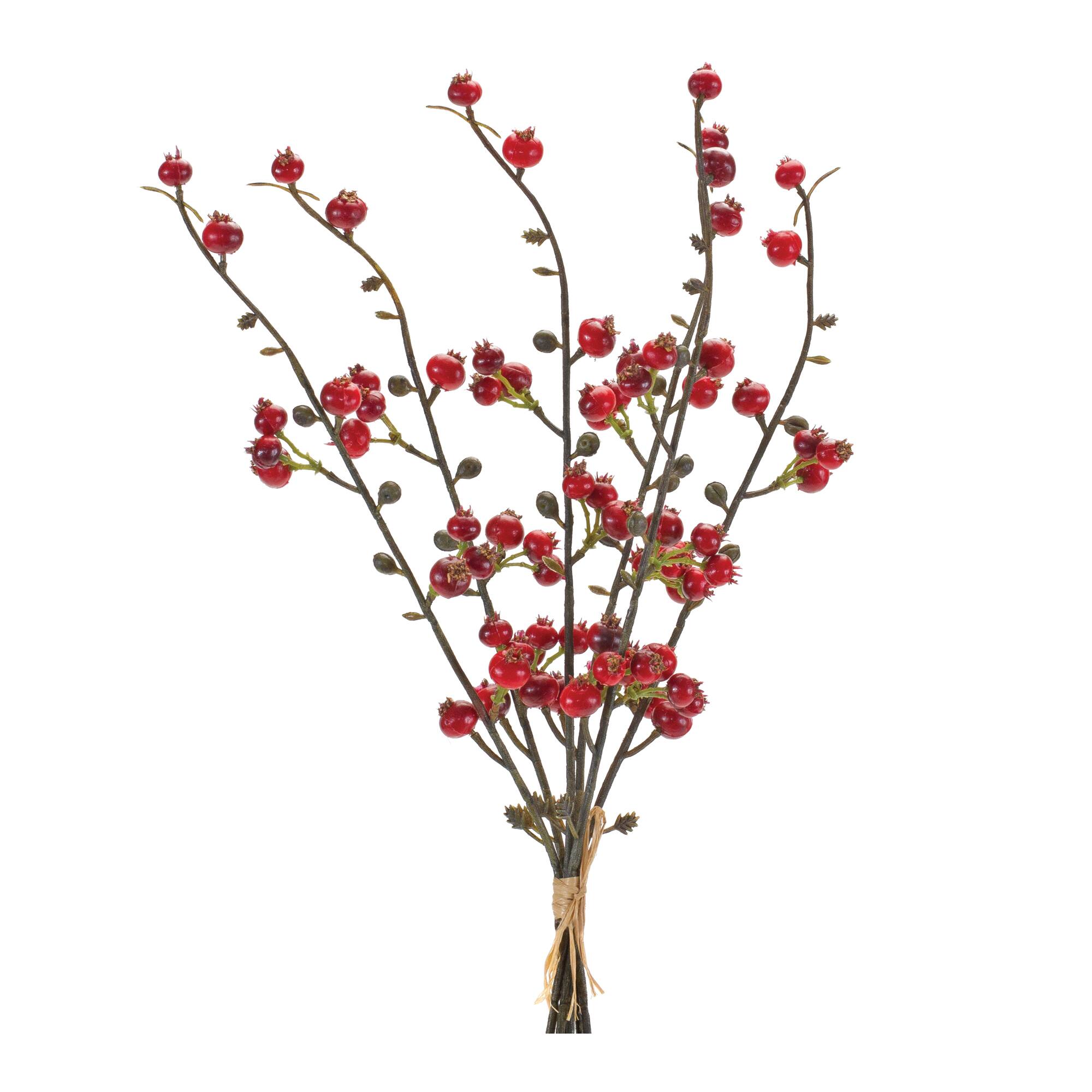 Red &#x26; Brown Winter Berry Twig Bundle, 6ct.