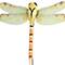 Decorative Dragonflies, 3ct. by Ashland®
