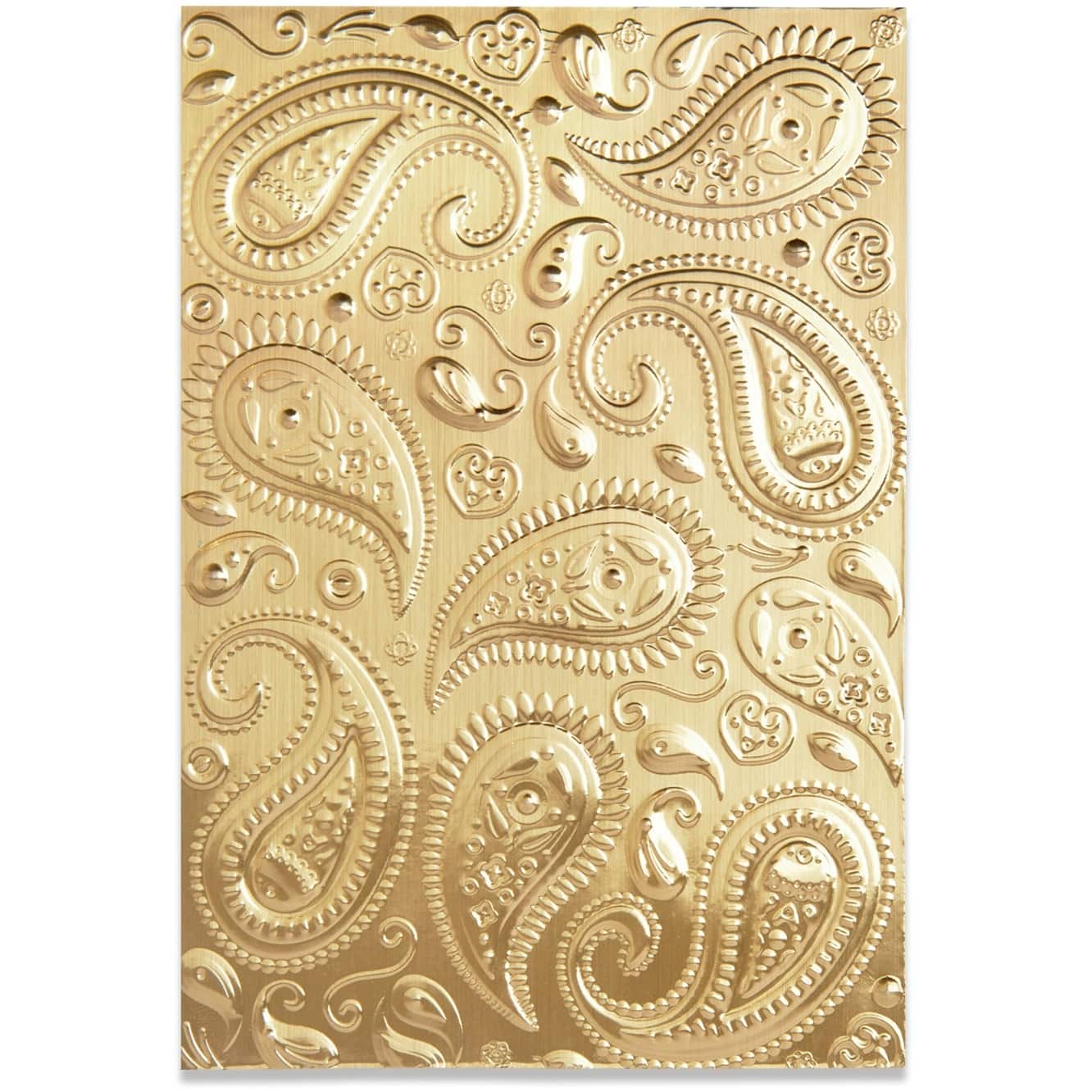 Sizzix® 3D Textured Impressions® Paisley Embossing Folder by